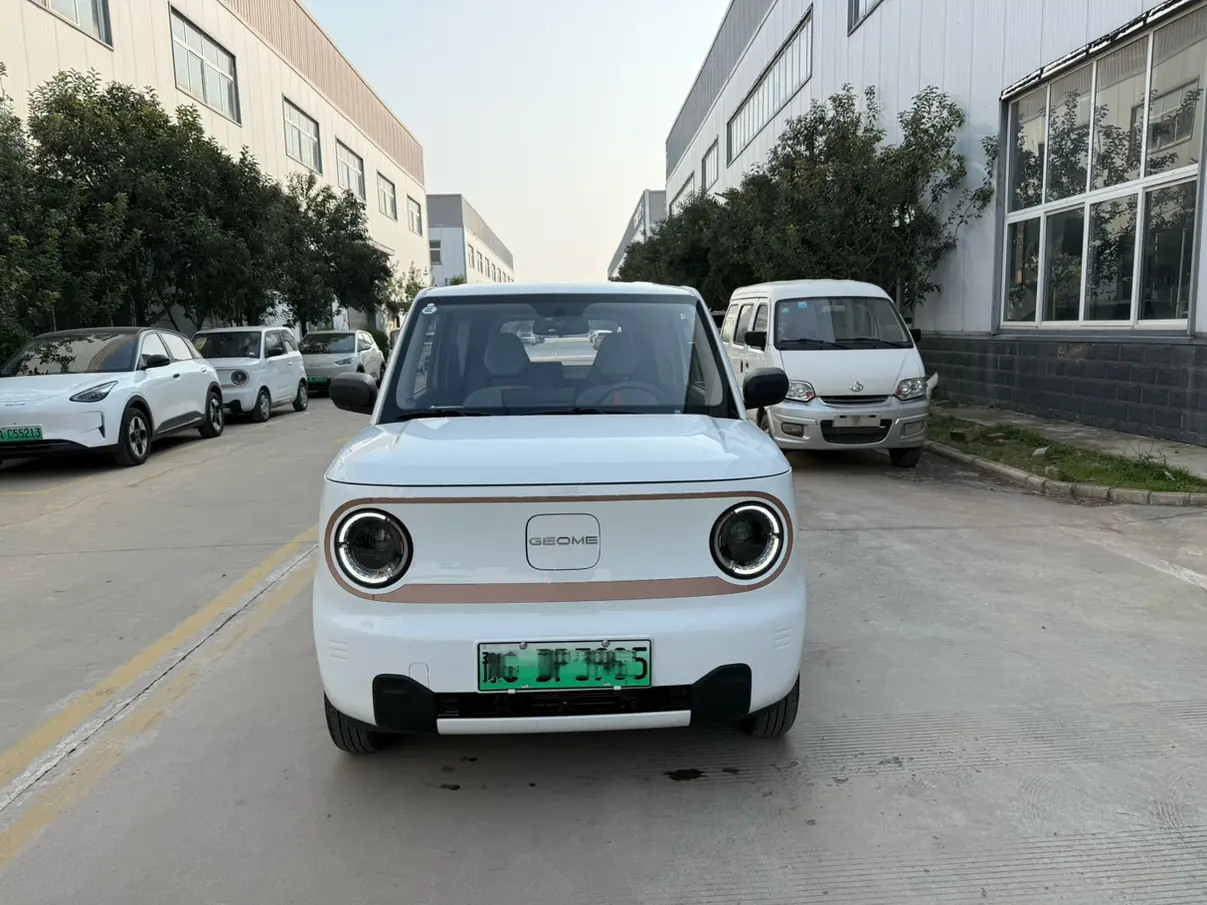 Geely Panda  из Китая
