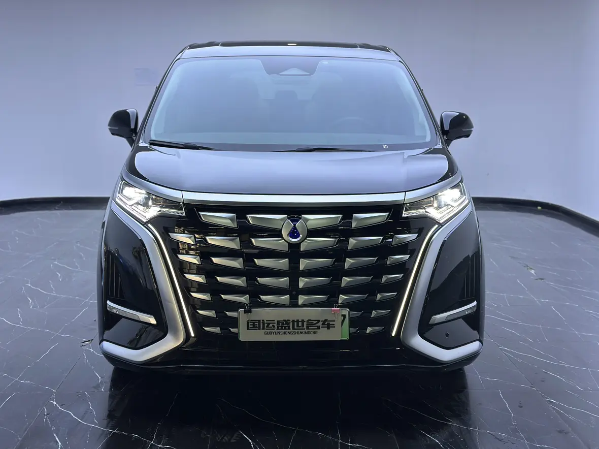 Denza D9 DM  из Китая