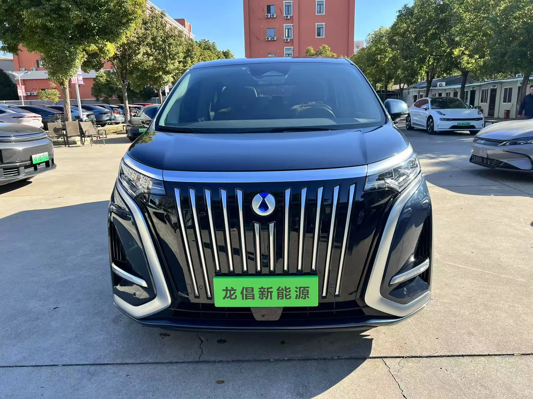 Denza D9 EV  из Китая