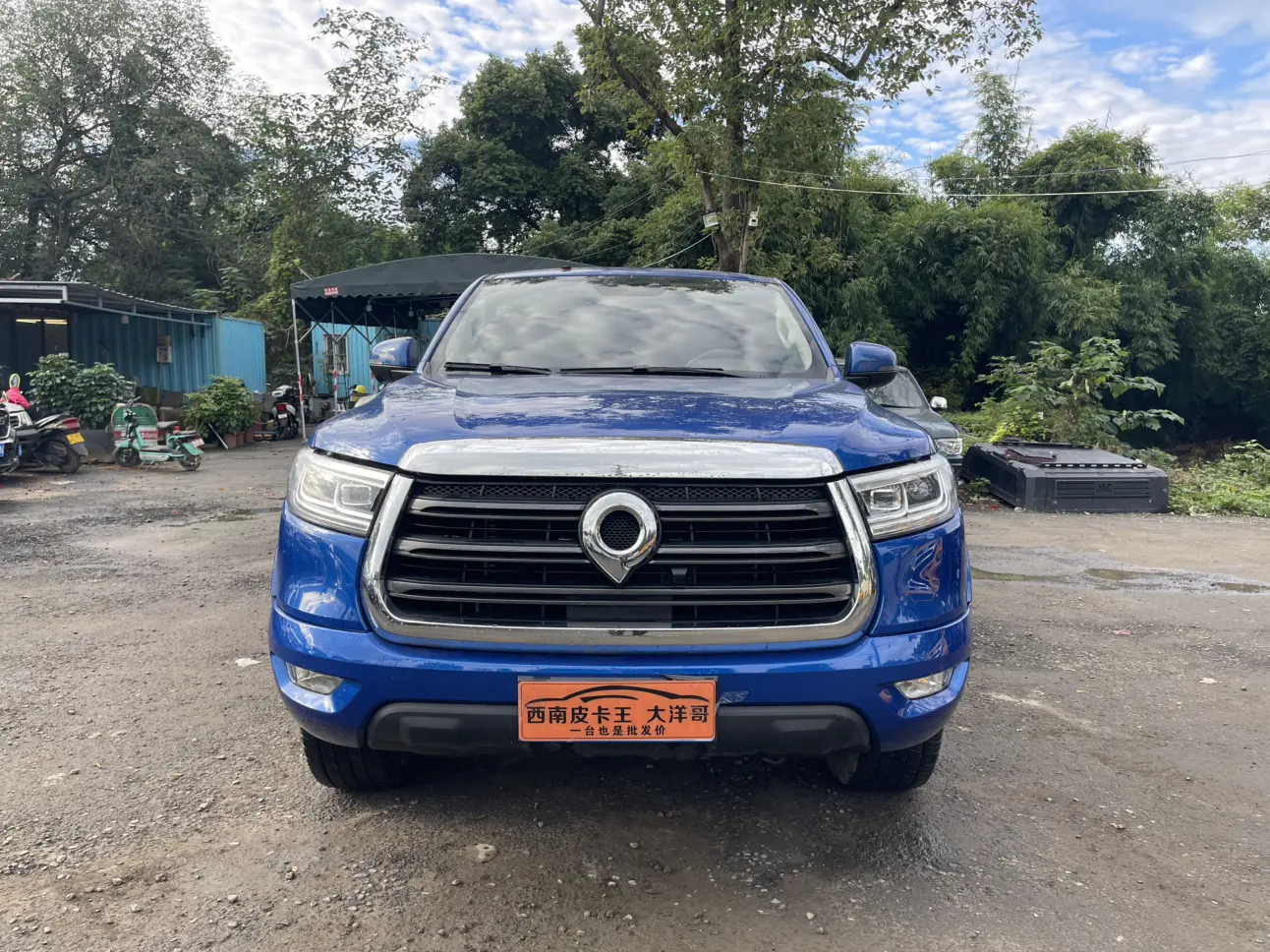 Great Wall Gun  из Китая