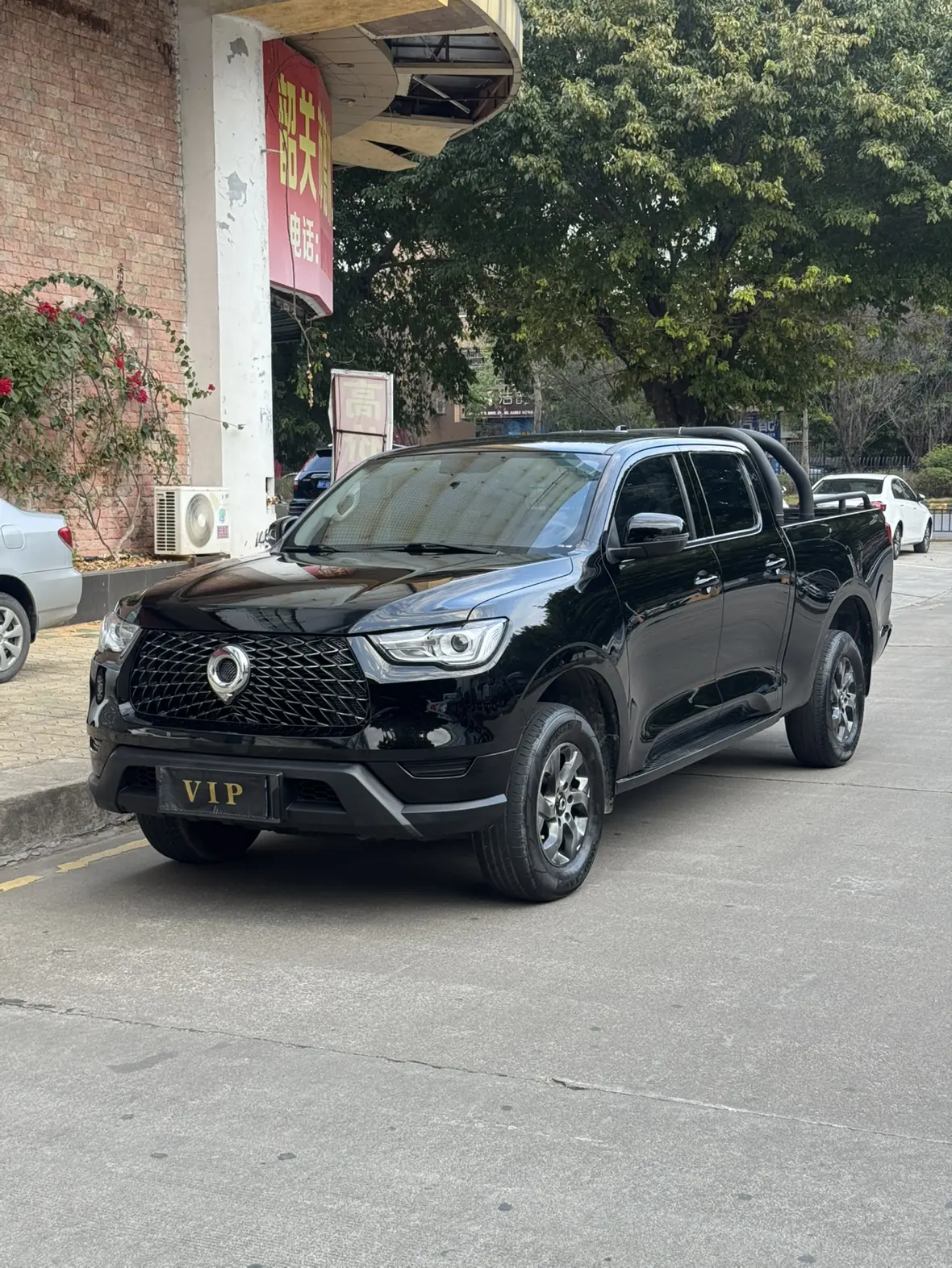 Great Wall Gun  из Китая