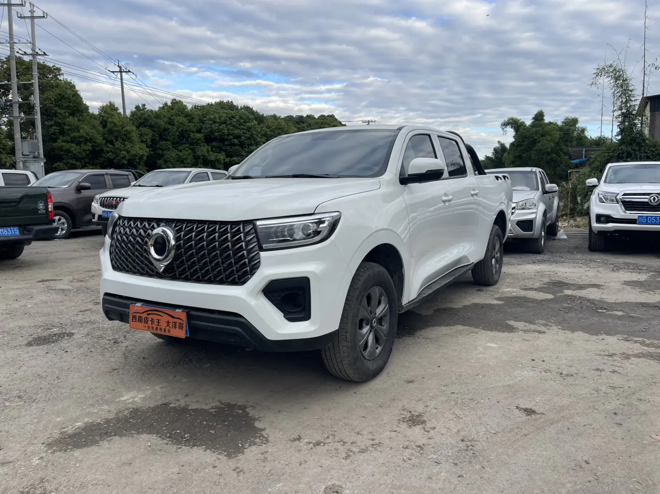 Great Wall Gun  из Китая