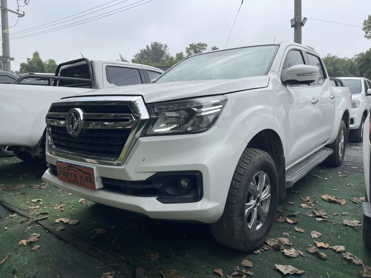Dongfeng Ruiqi 6  из Китая