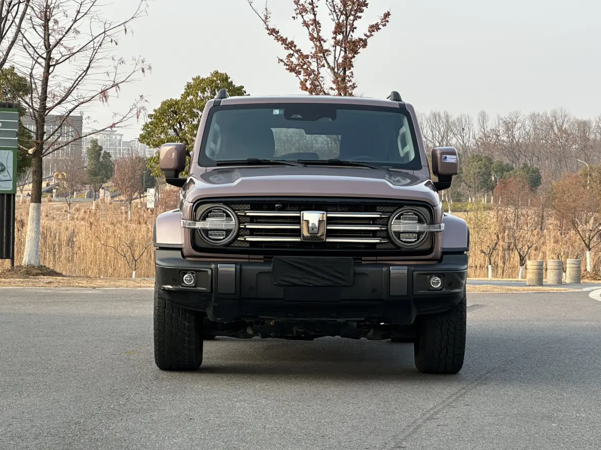 Tank 300  из Китая