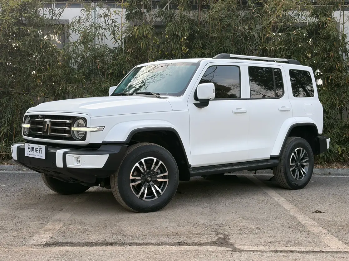 Tank 300  из Китая