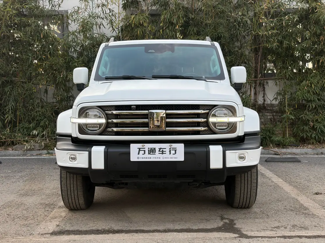 Tank 300  из Китая