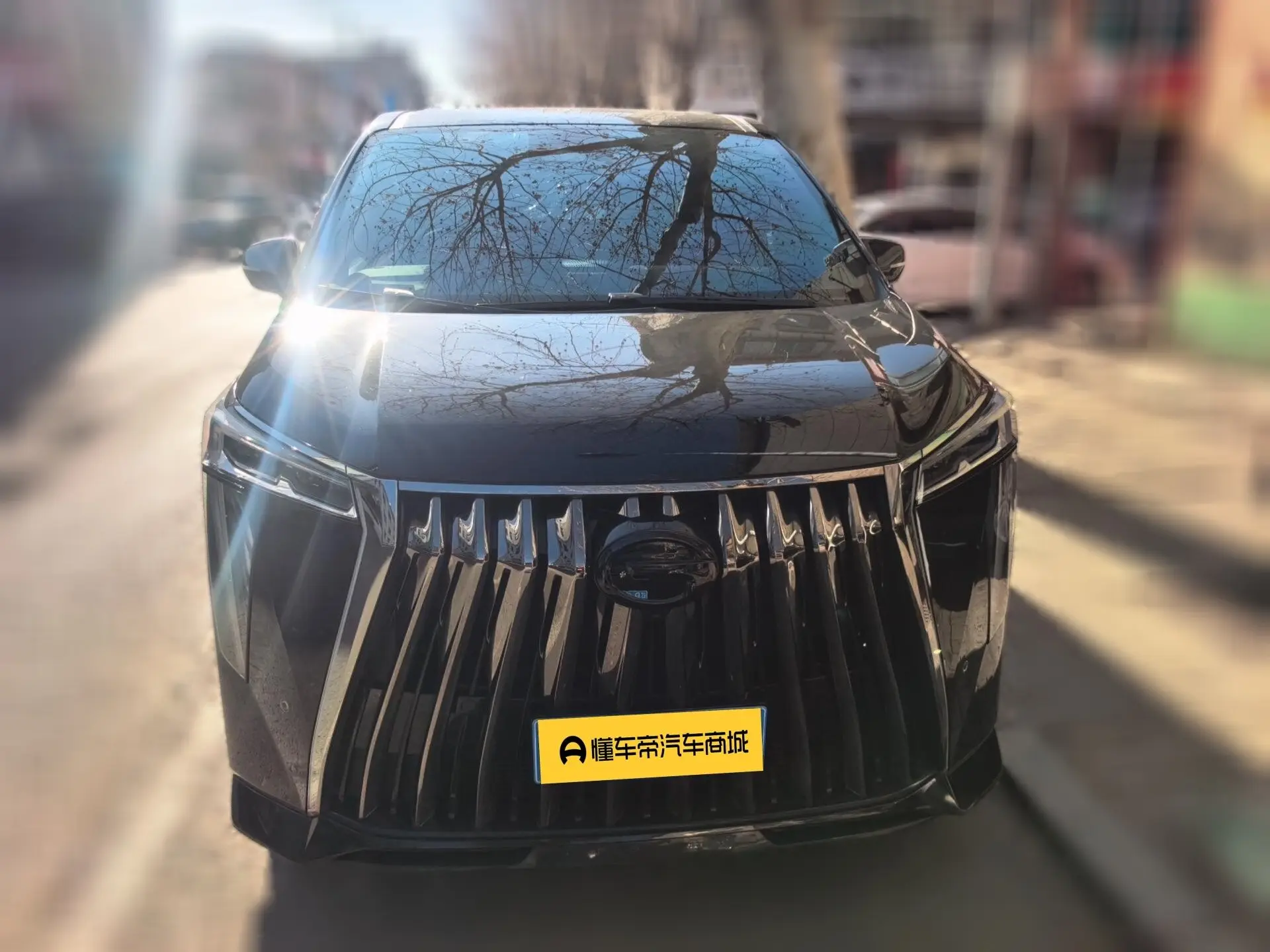 GAC Trumpchi M8  из Китая