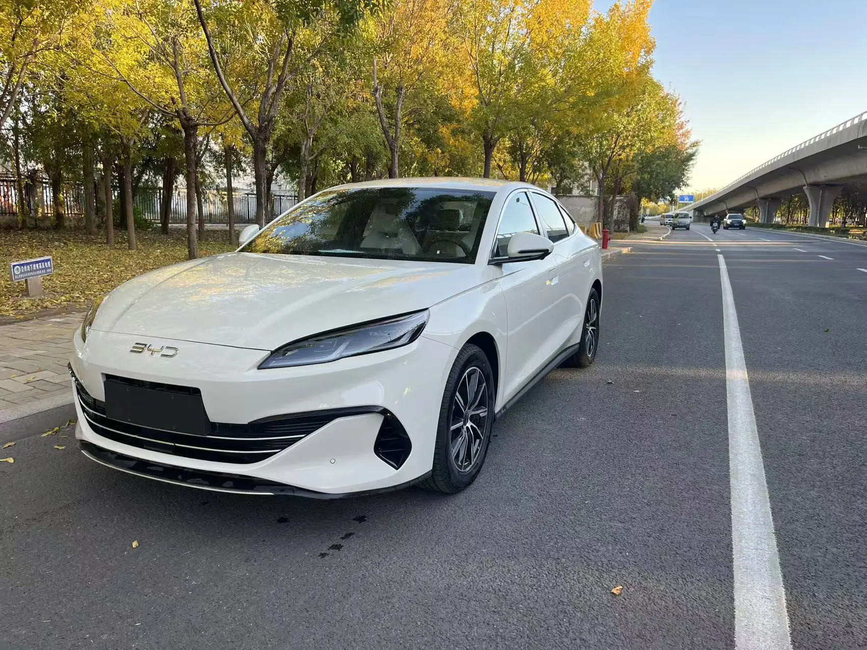 BYD Seal 06DM  из Китая