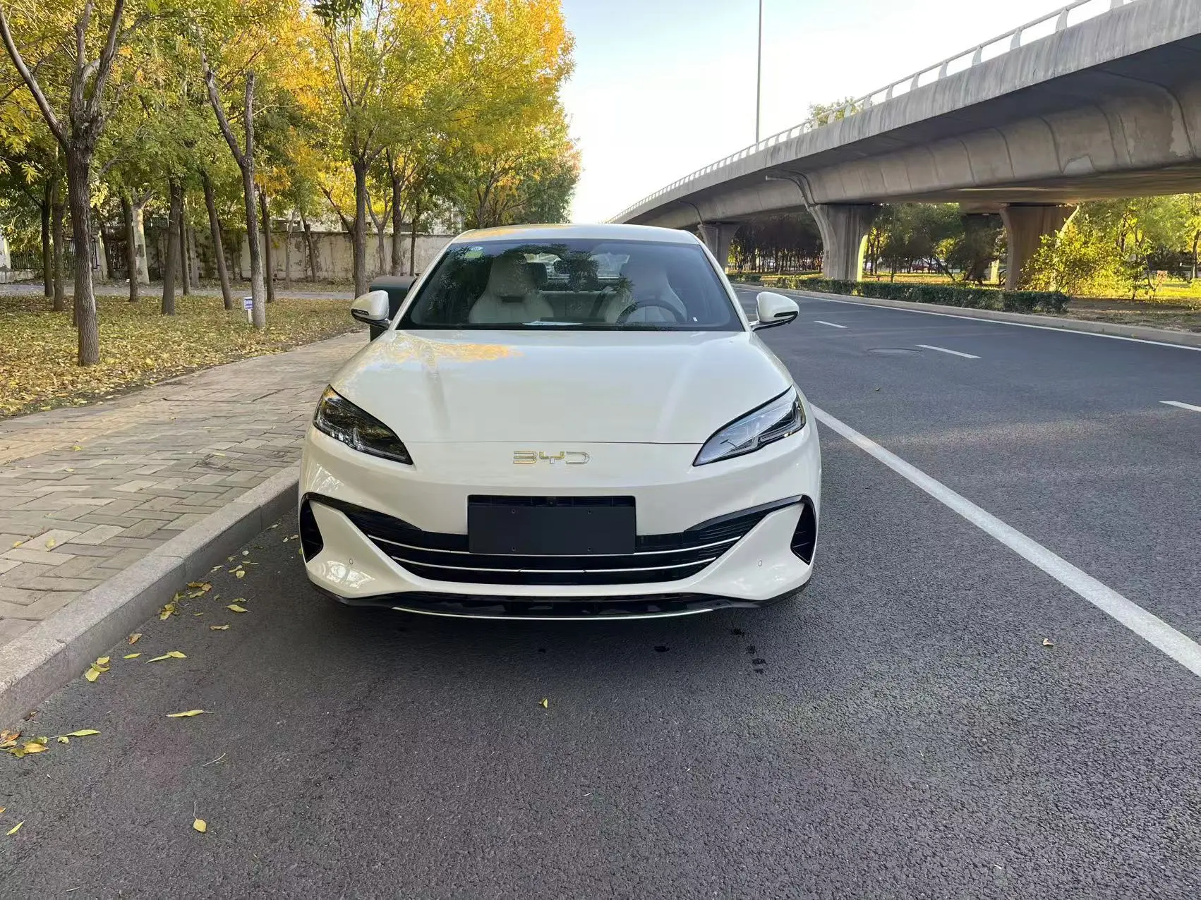 BYD Seal 06DM  из Китая