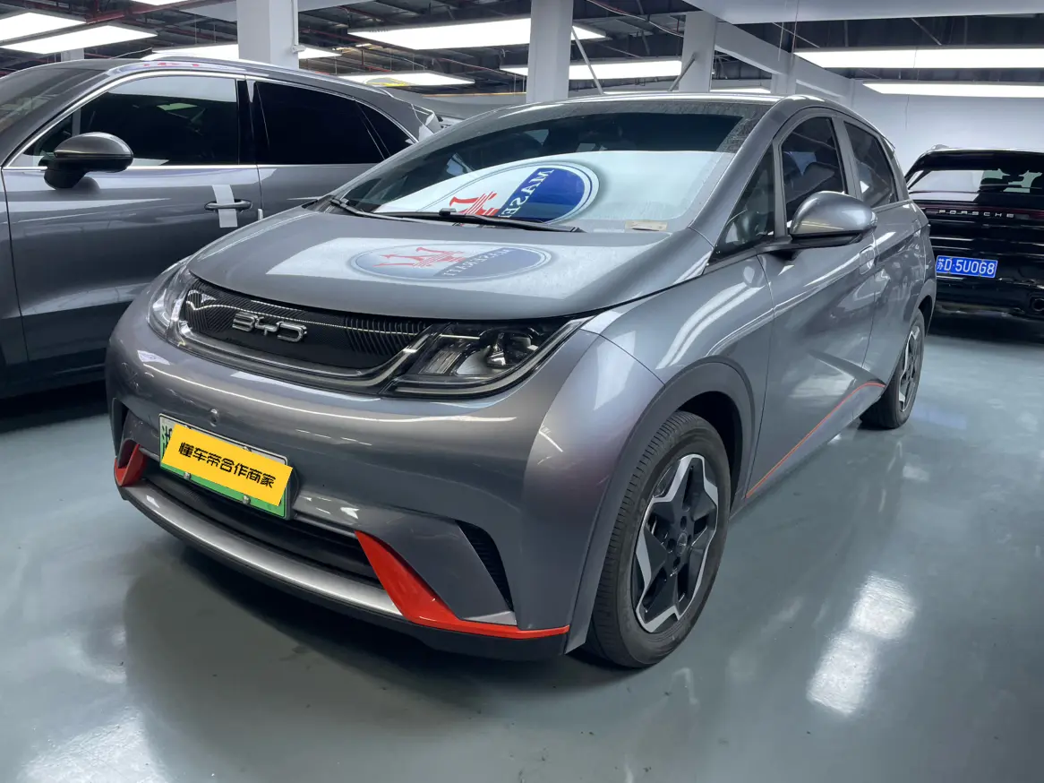 BYD Dolphin  из Китая