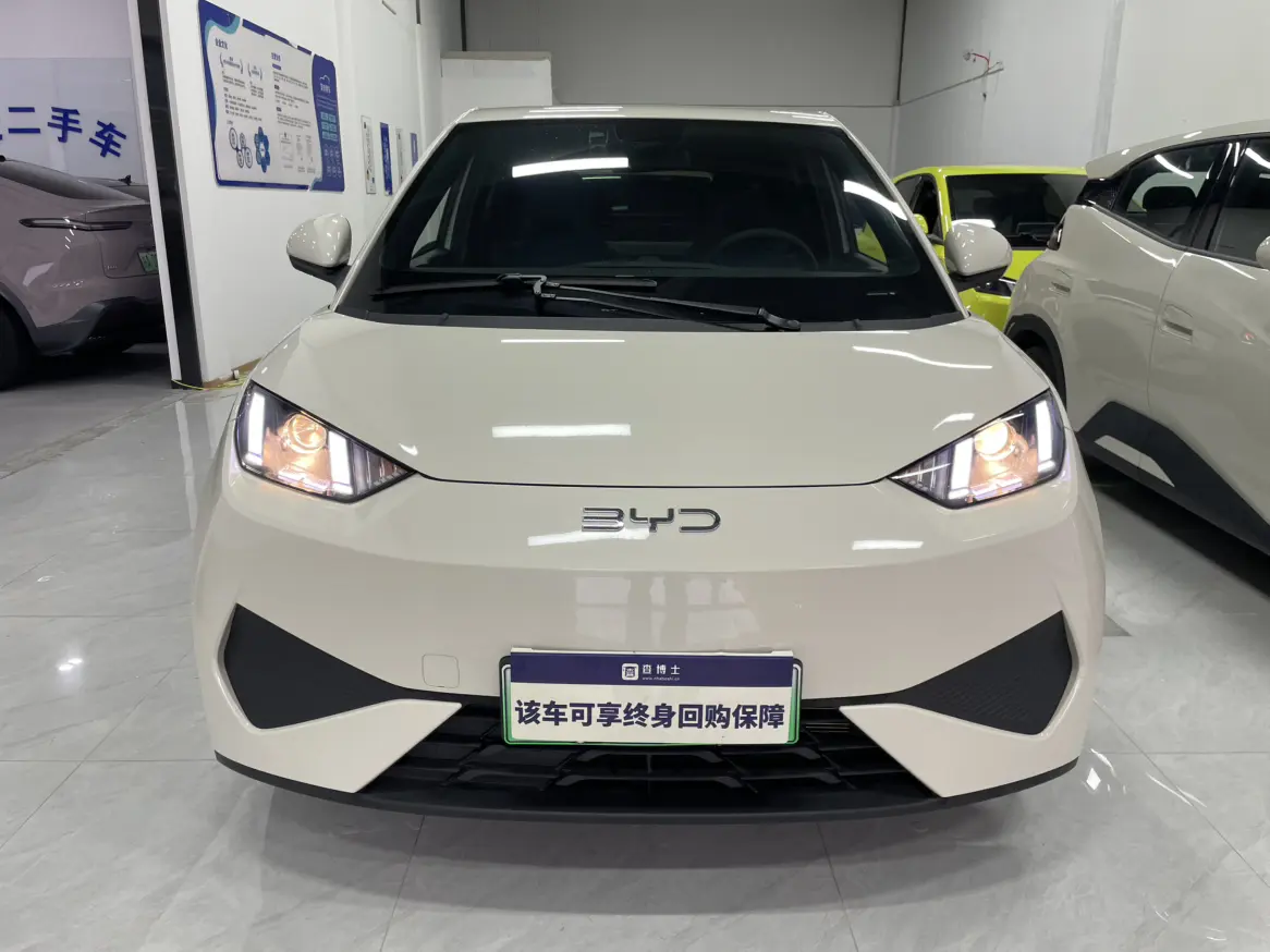 BYD Seagull  из Китая