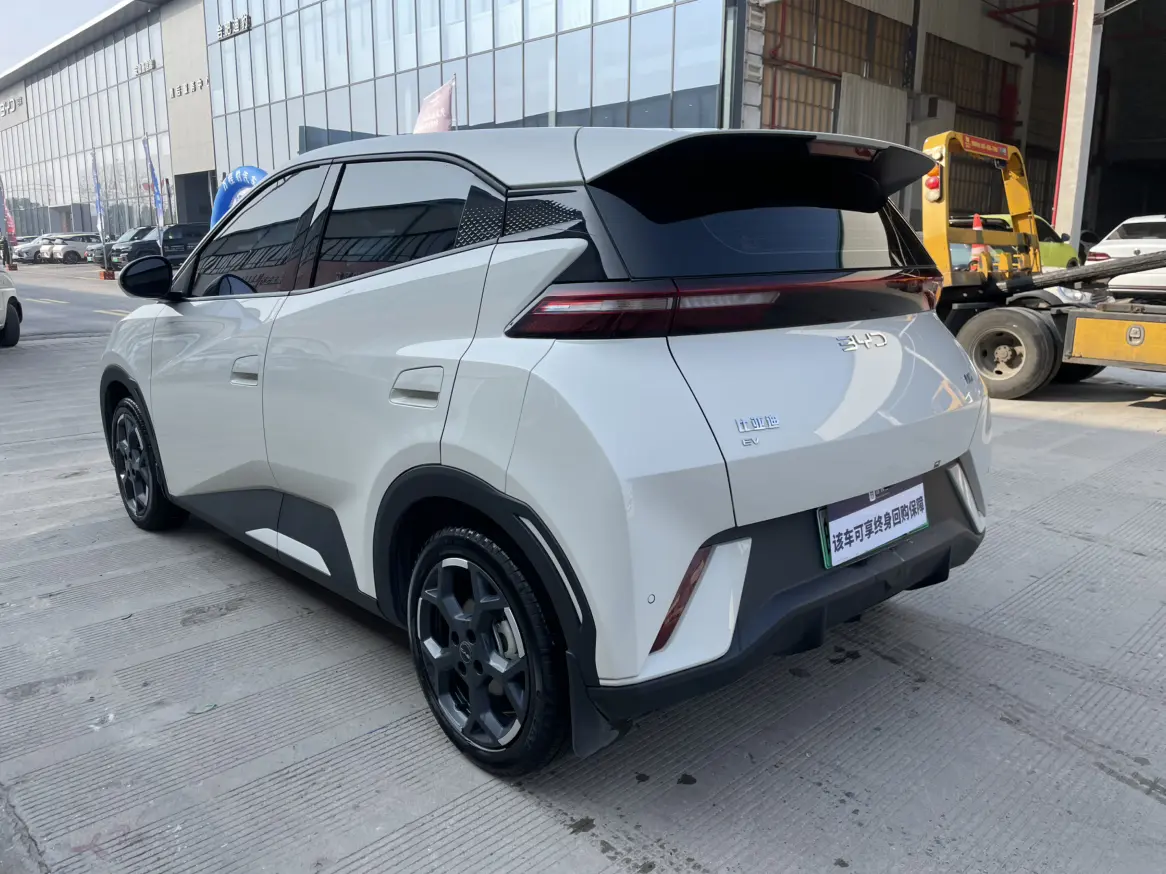 BYD Seagull  из Китая