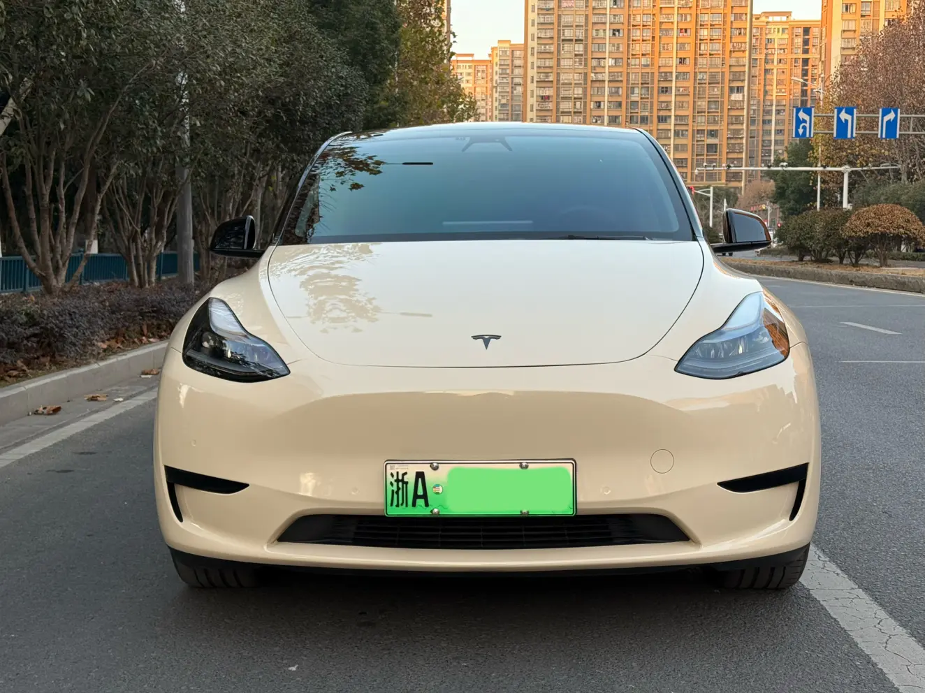 Tesla Model Y  из Китая
