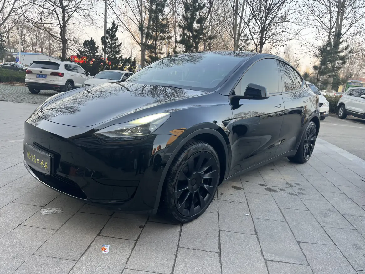 Tesla Model Y  из Китая
