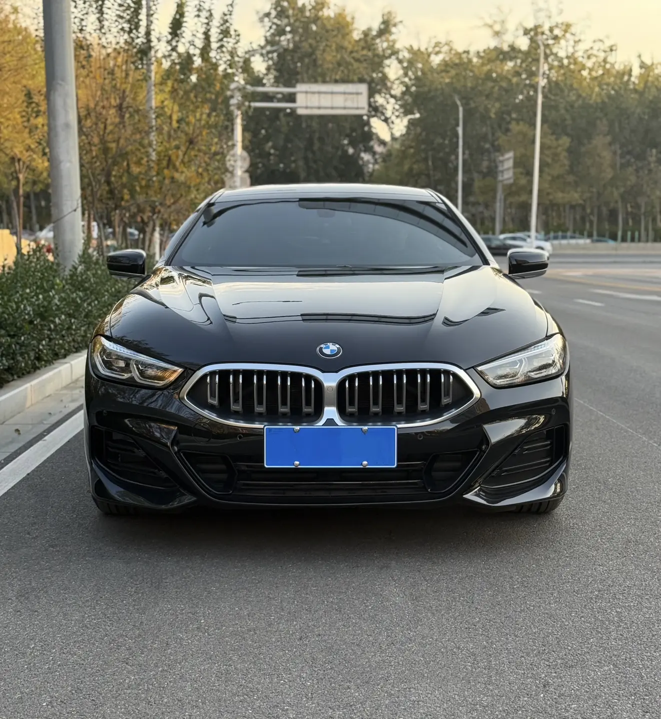 BMW 8 Series  из Китая