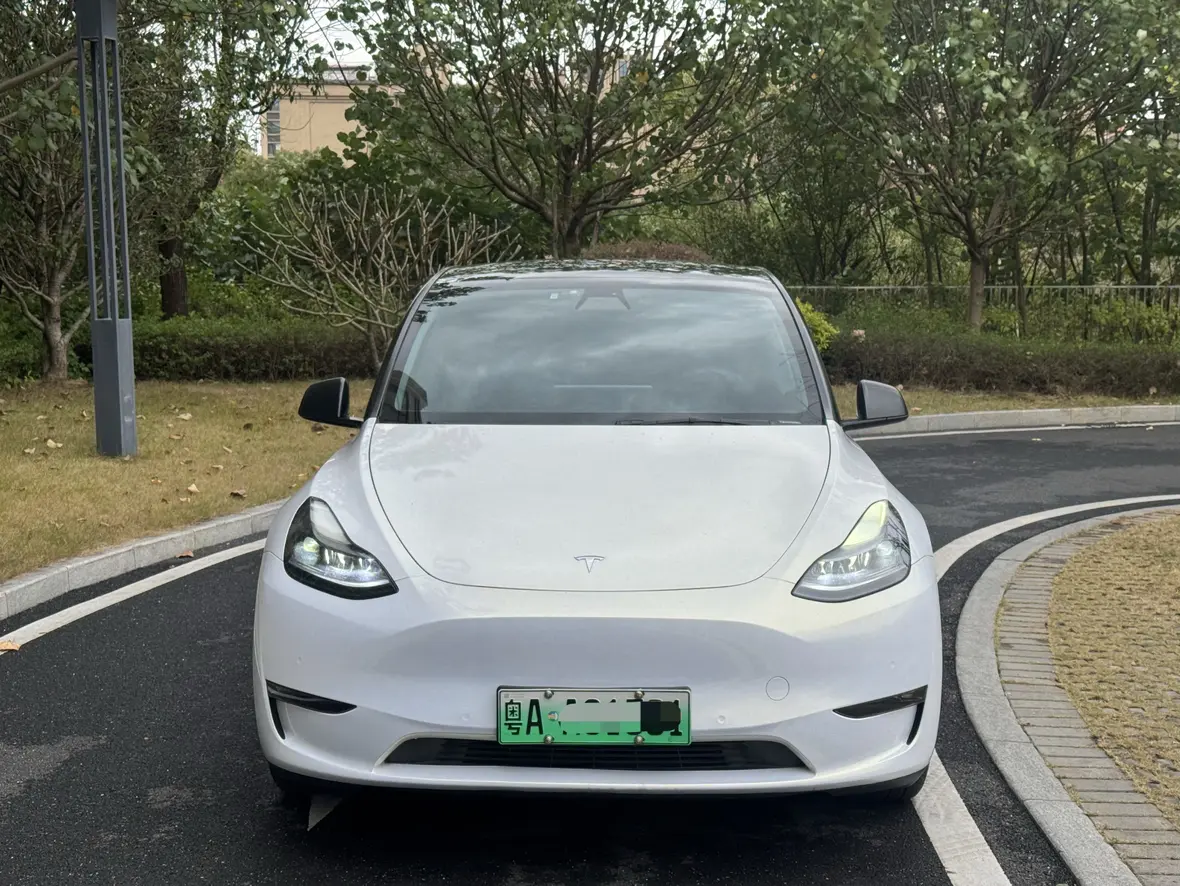 Tesla Model Y  из Китая