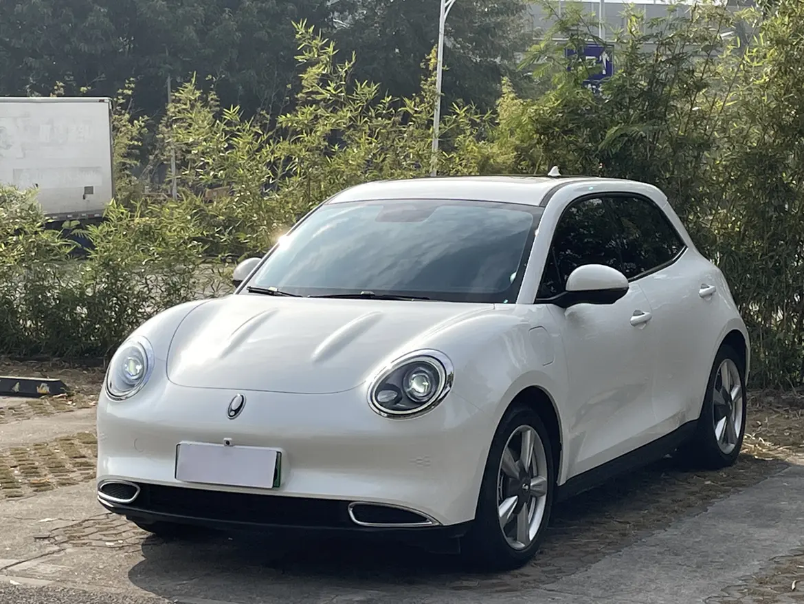 ORA Euler good cat  из Китая