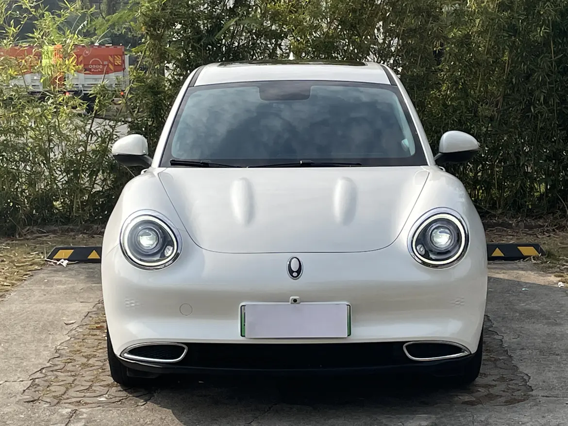 ORA Euler good cat  из Китая