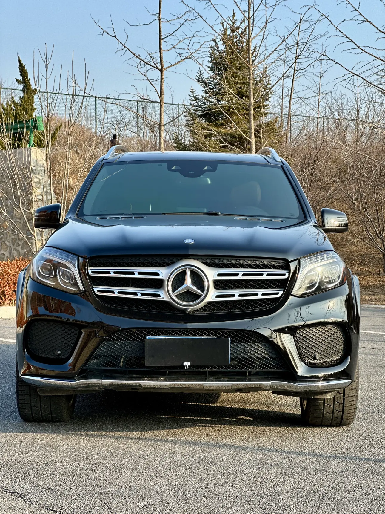 Mercedes-Benz Mercedes Benz GLS