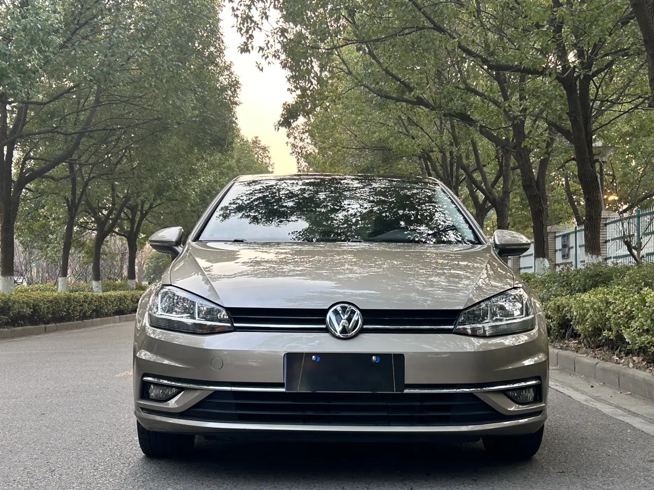 Volkswagen Golf  из Китая