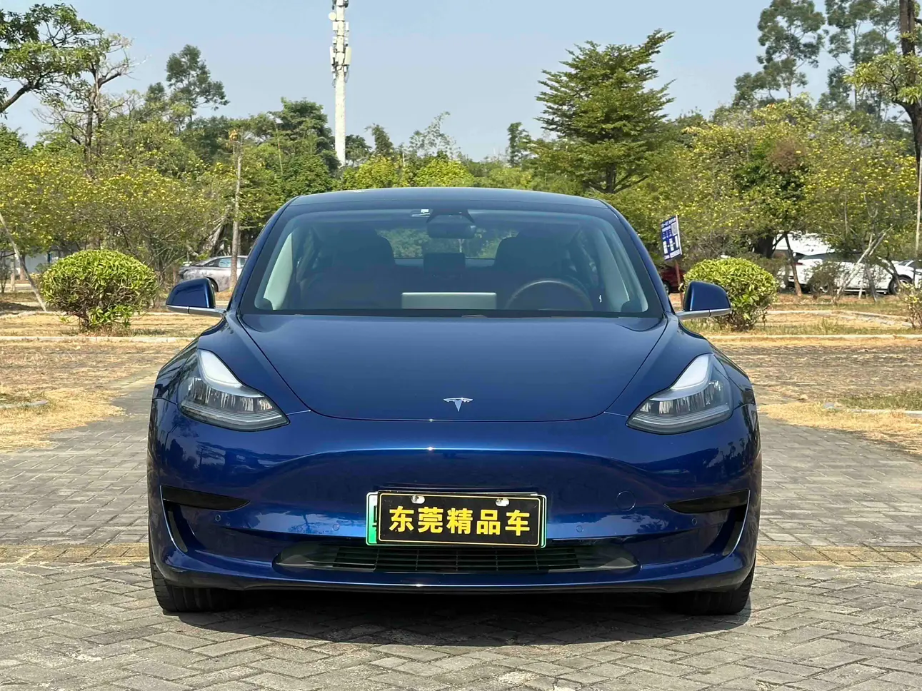 Tesla Model 3  из Китая