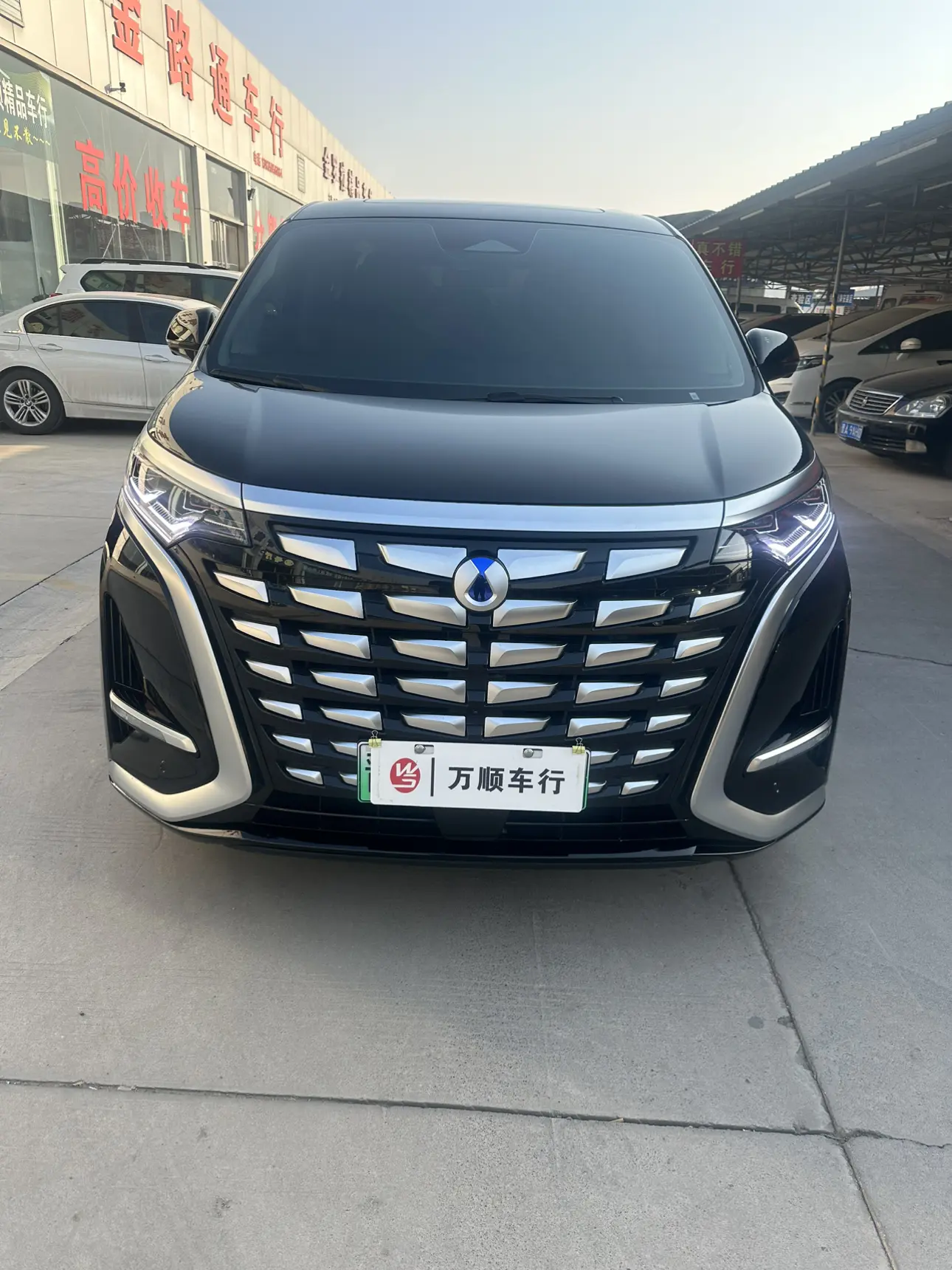 Denza D9 DM  из Китая