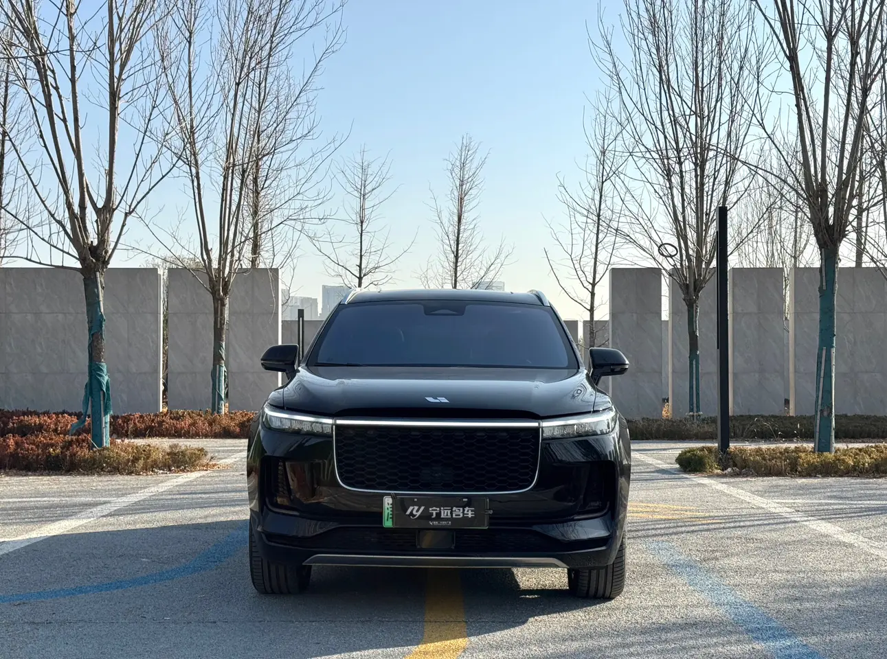 Li ONE (Ideal ONE)  из Китая