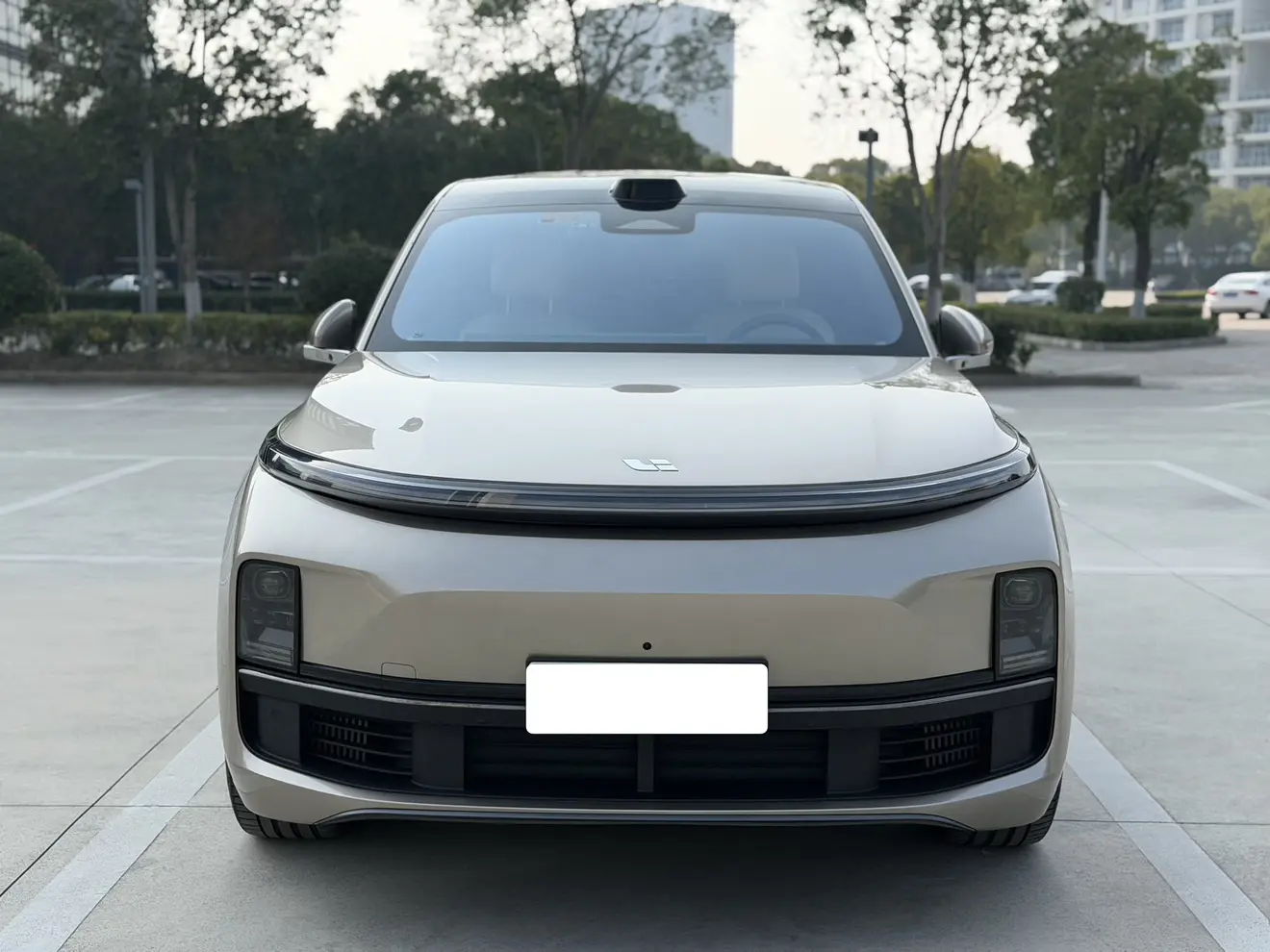 Li L9 (Ideal L9)  из Китая