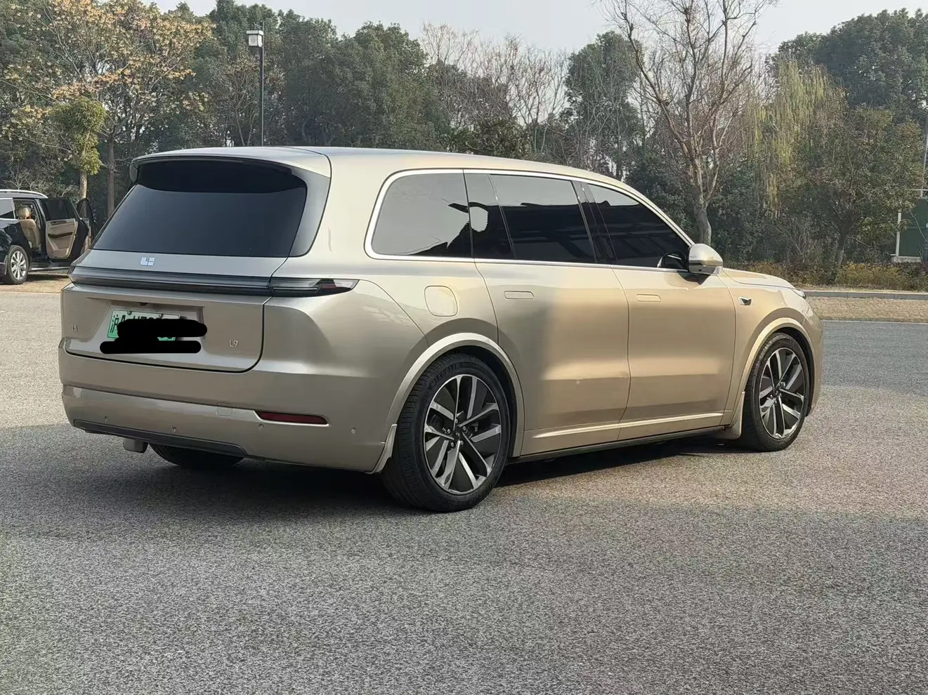 Li L9 (Ideal L9)  из Китая