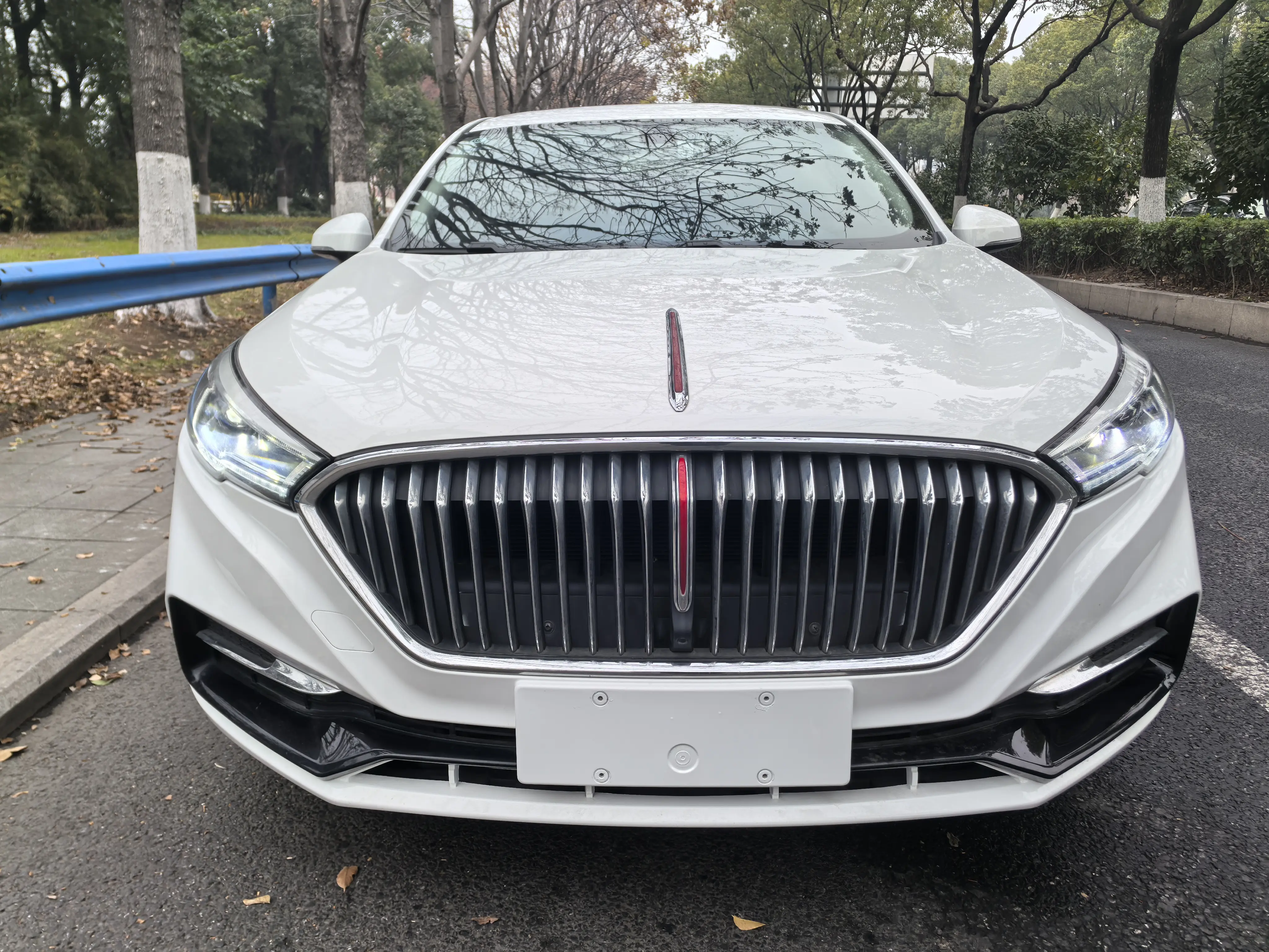 Hongqi H5 classic  из Китая