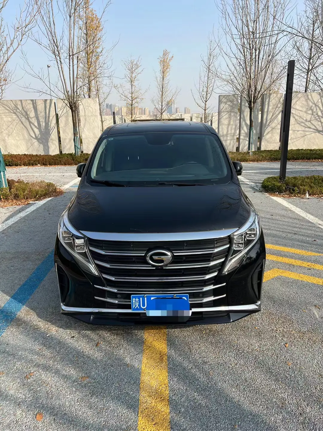 GAC Trumpchi M8  из Китая
