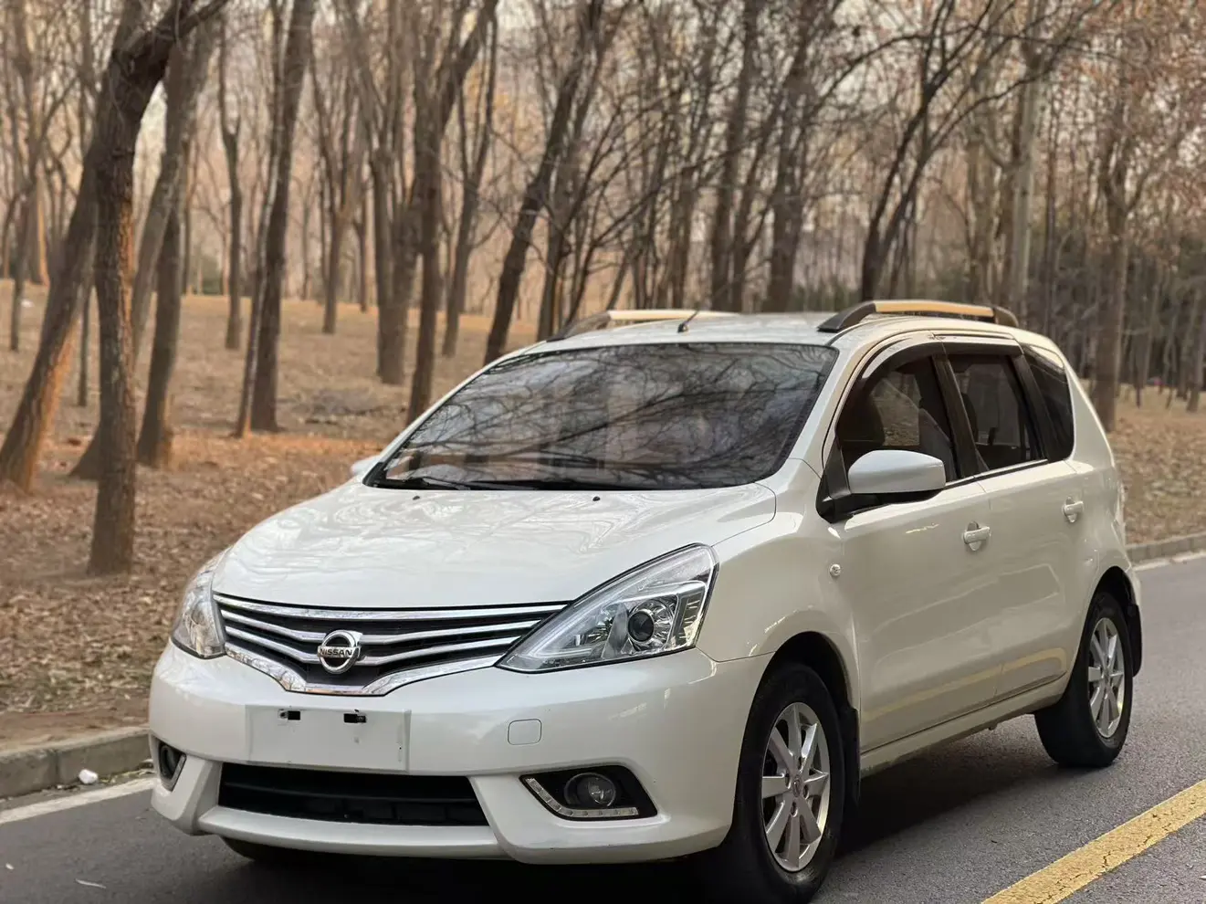 Nissan Li Wei  из Китая