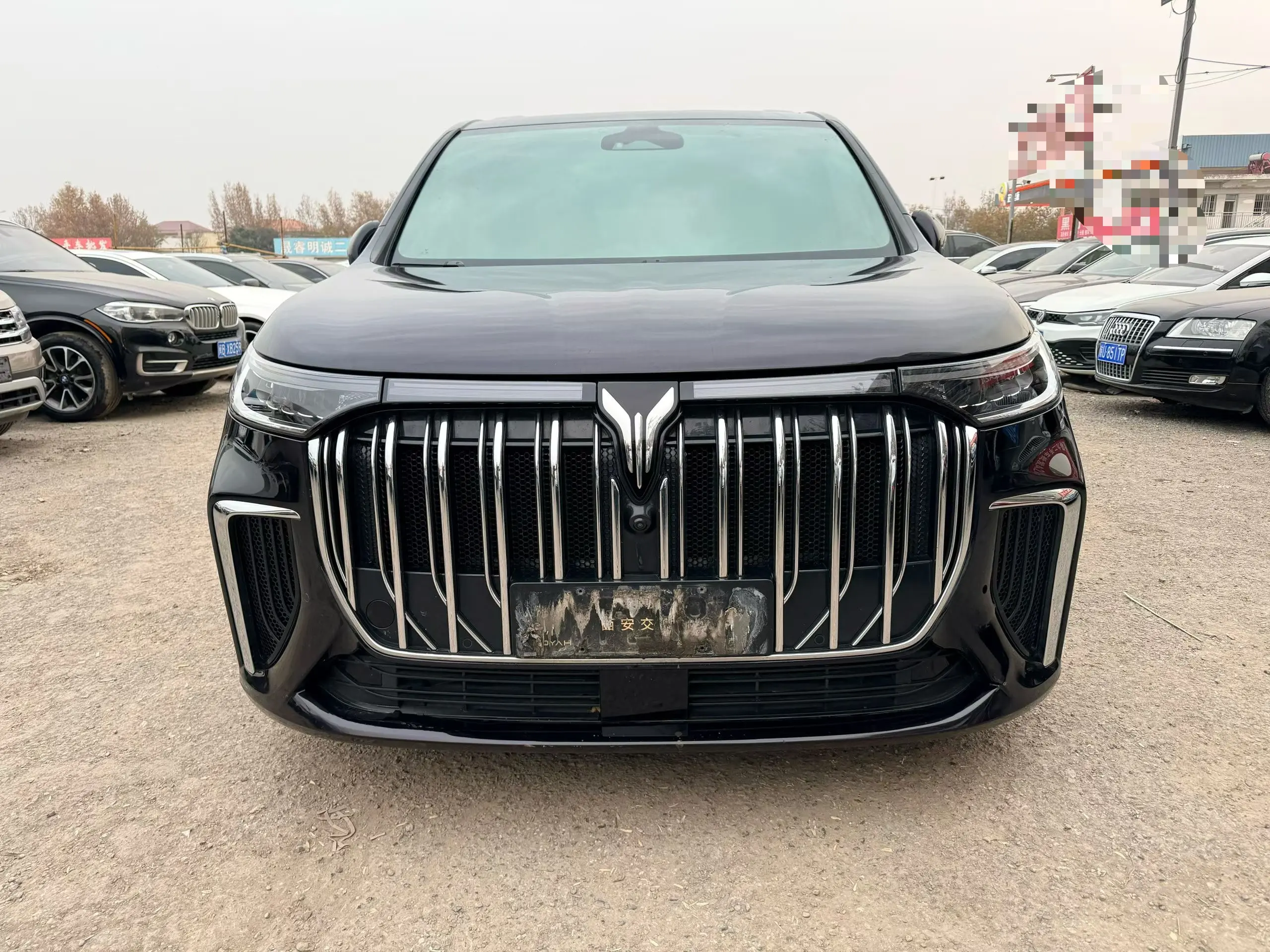 Voyah Lantu Dreamer PHEV  из Китая