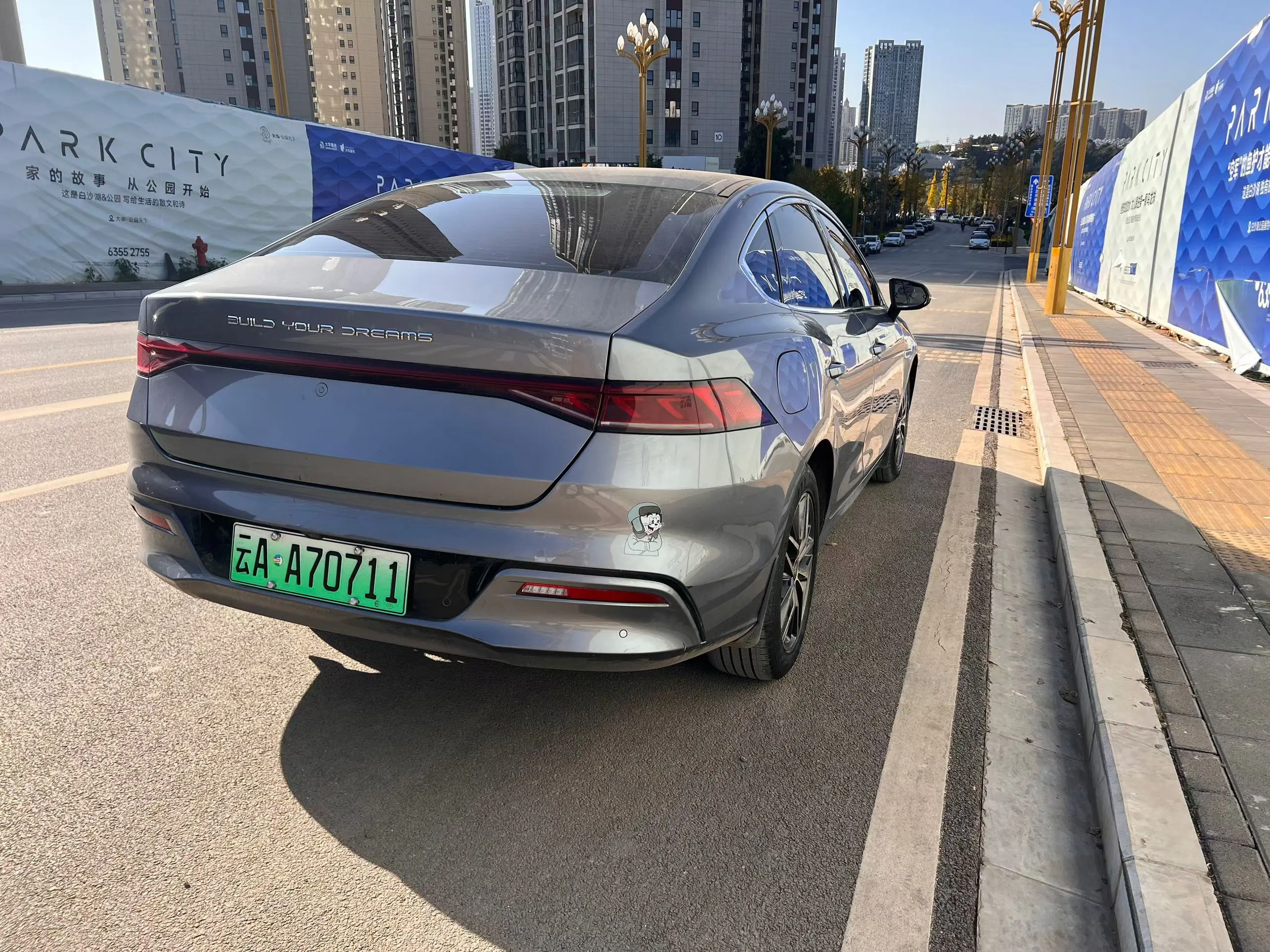 BYD Qin PLUS EV  из Китая