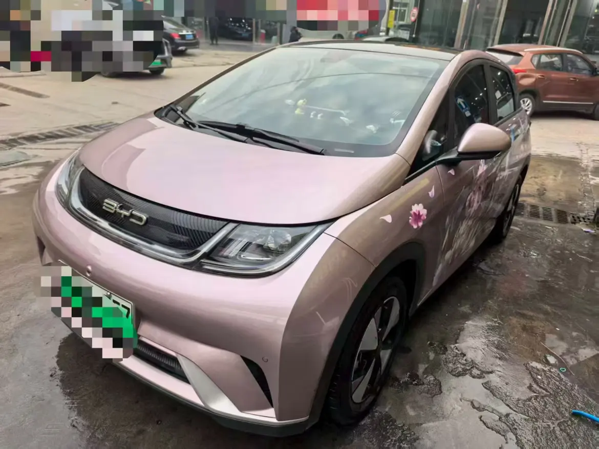 BYD Dolphin  из Китая