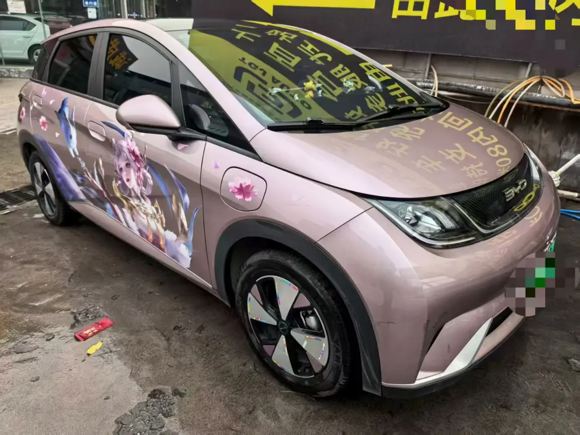 BYD Dolphin  из Китая