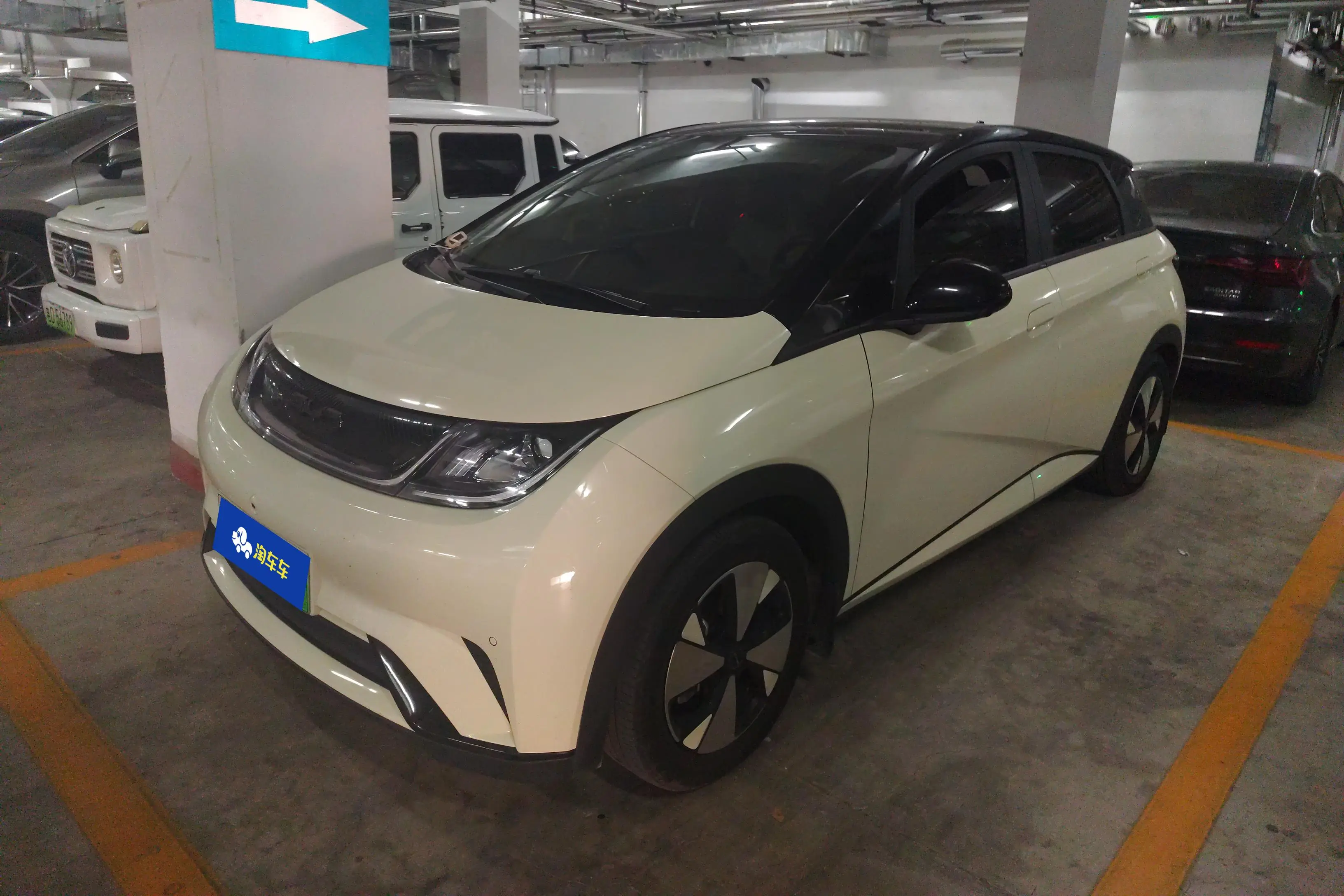 BYD Dolphin  из Китая