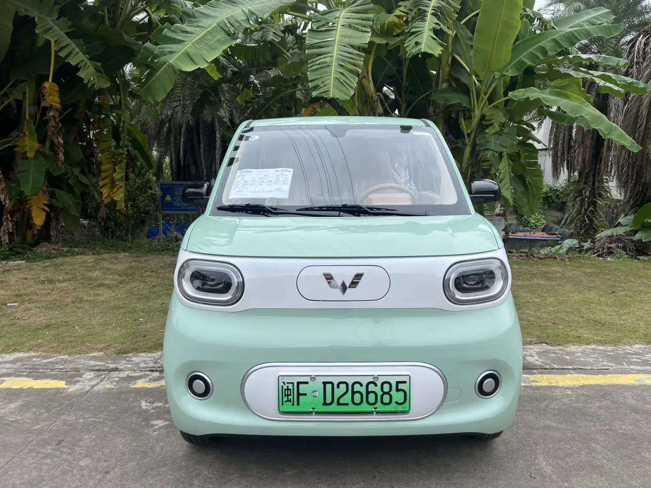 Wuling Hongguang MINIEV  из Китая