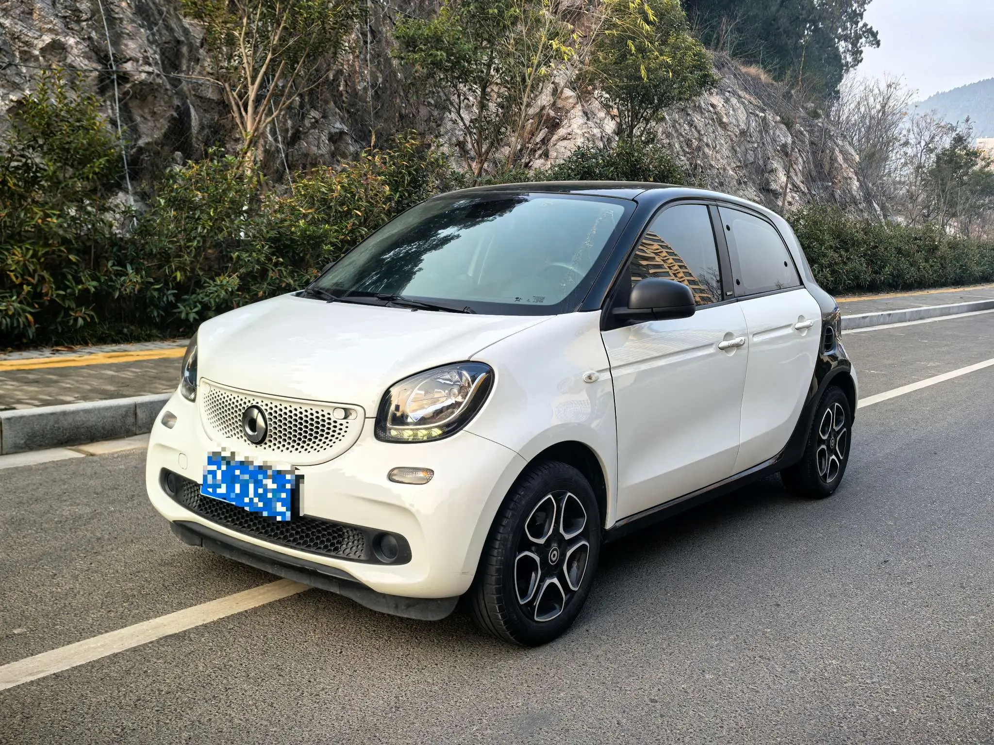 Smart forfour  из Китая