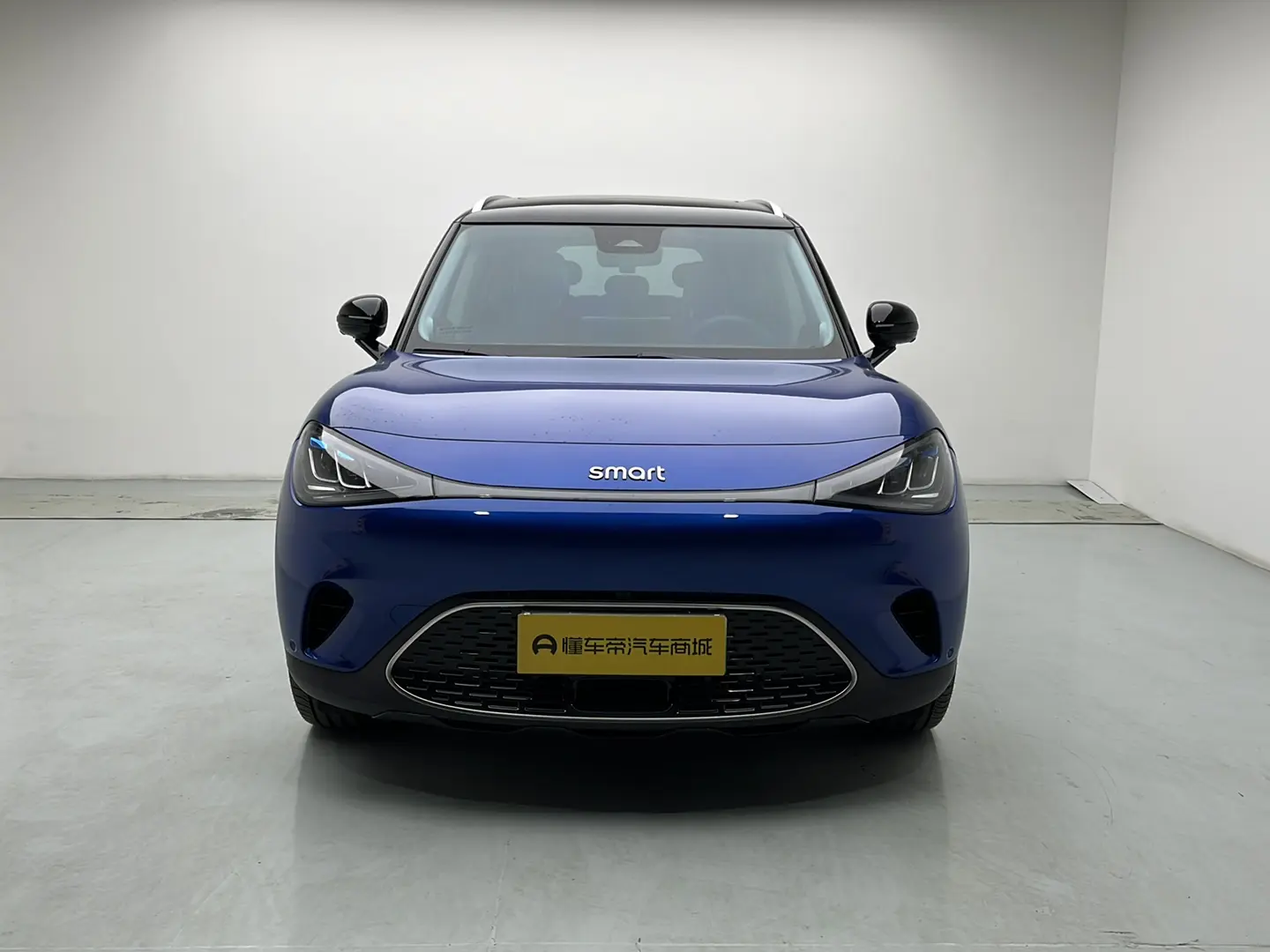 Smart elf #1  из Китая