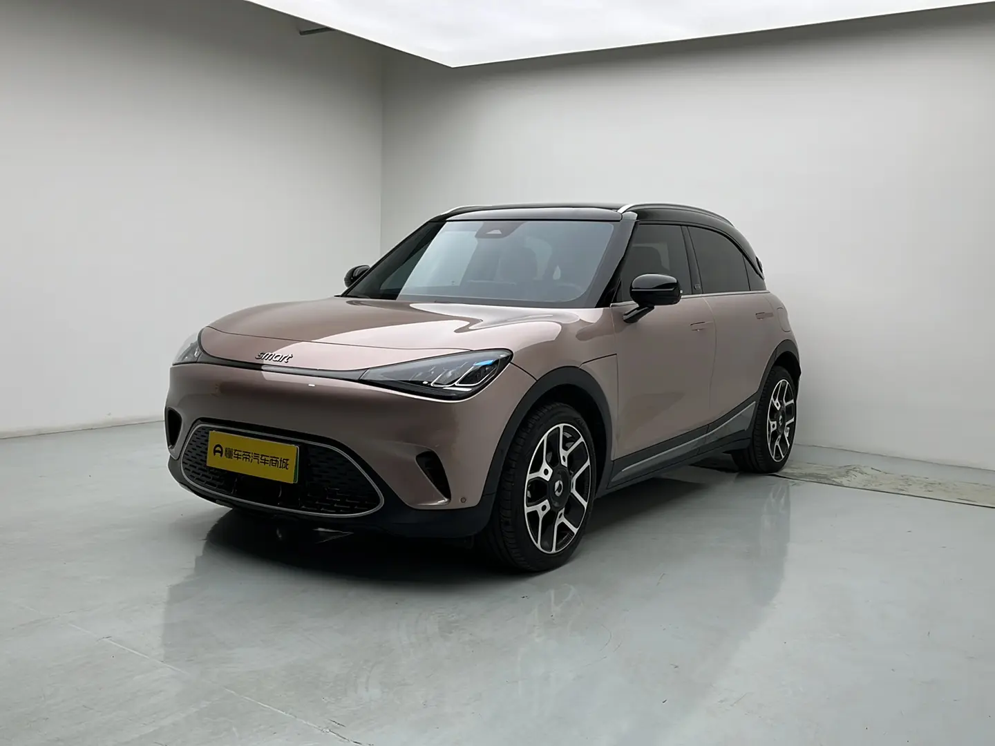 Smart elf #1  из Китая