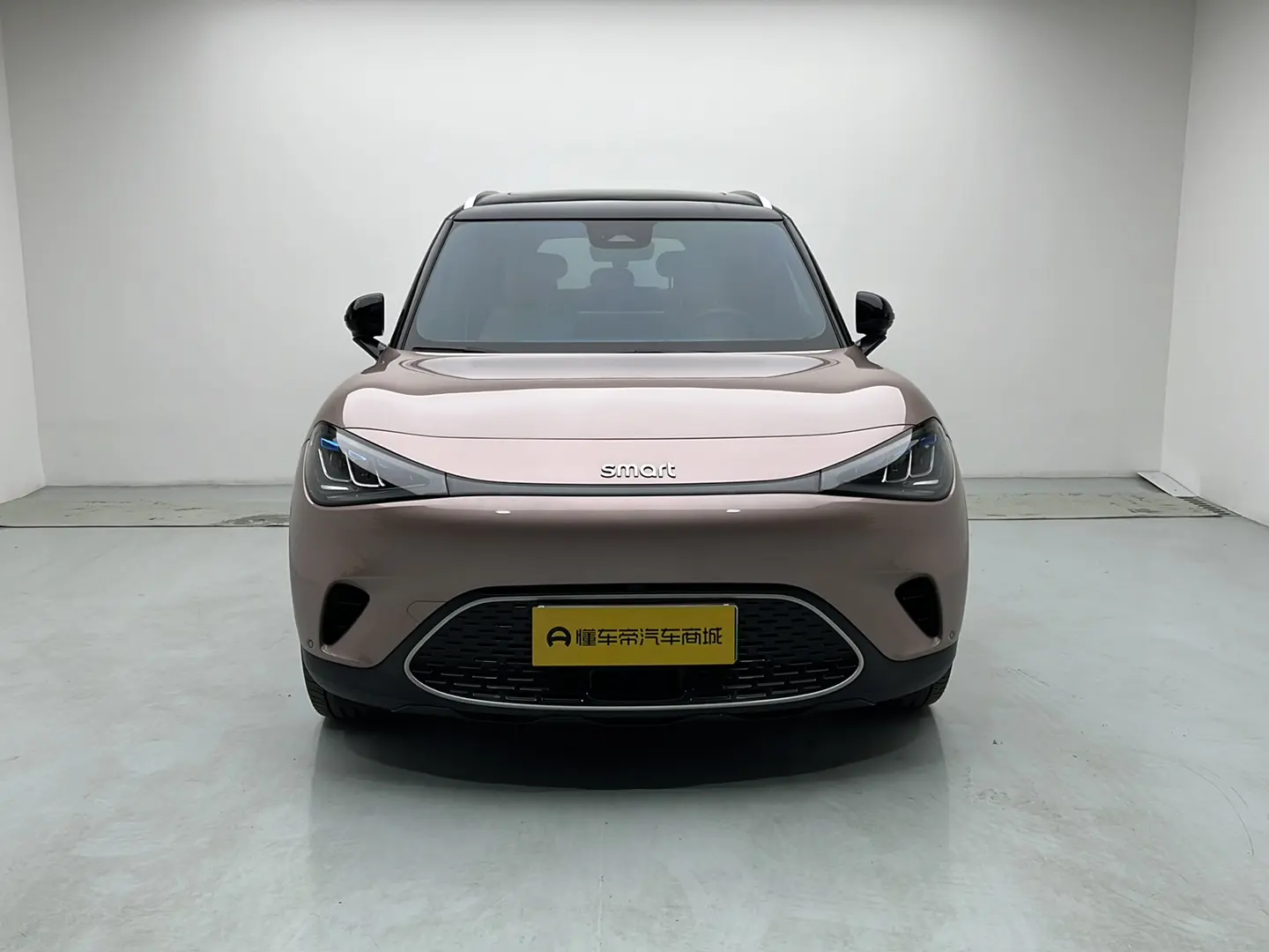 Smart elf #1  из Китая