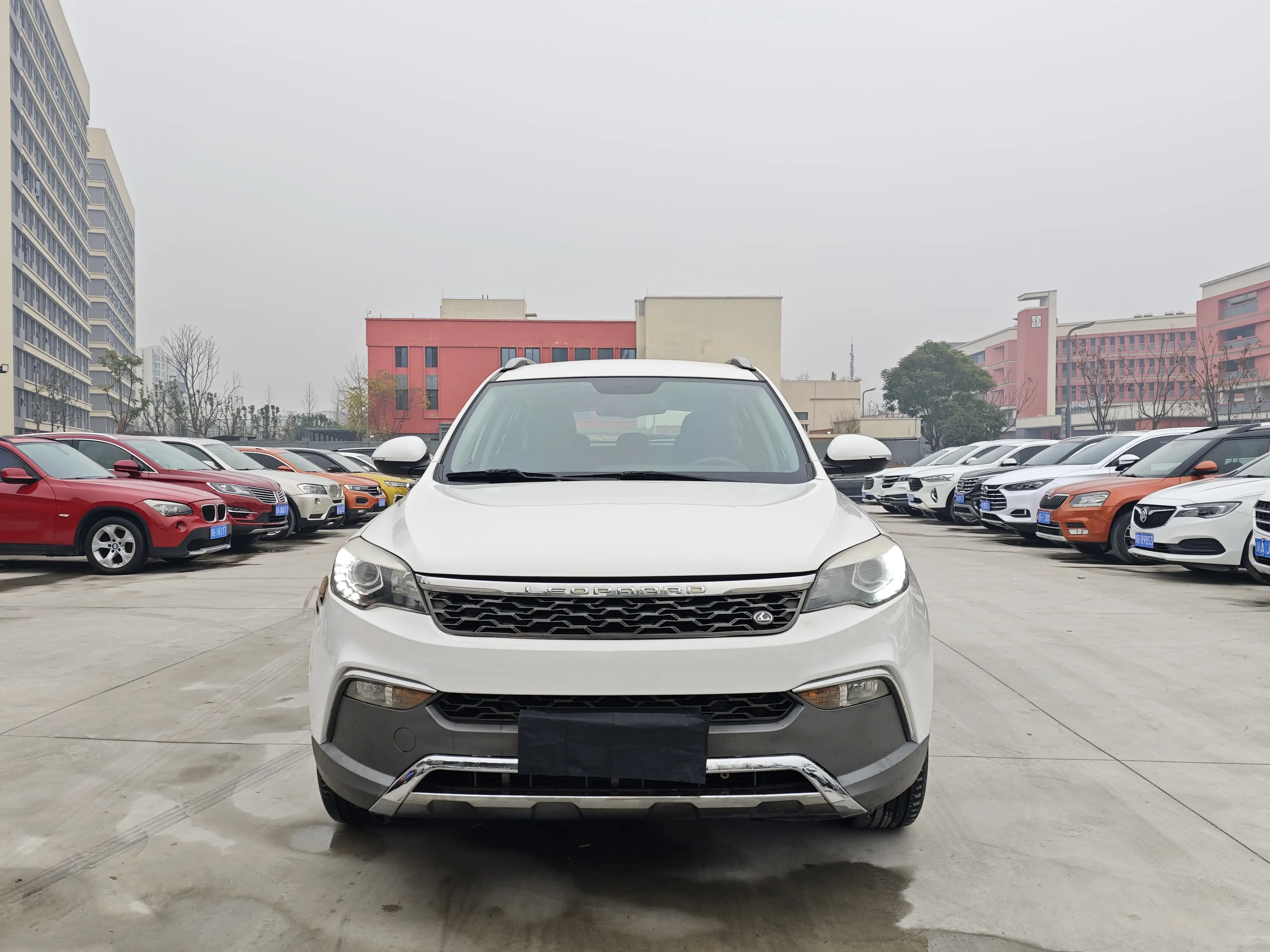 Cheetah cars Cheetah CS10  из Китая