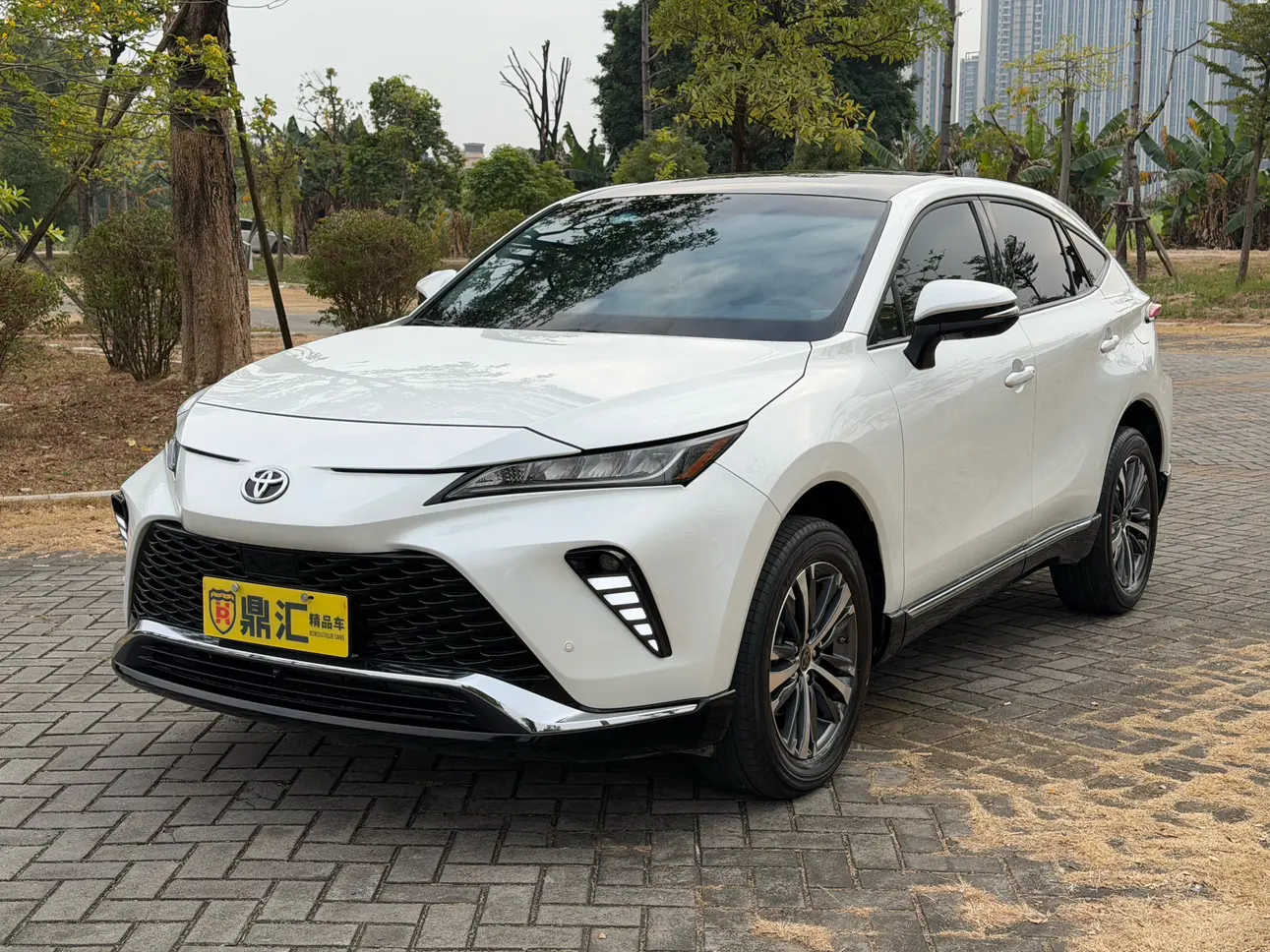 Toyota Venza (Wei Sa)  из Китая