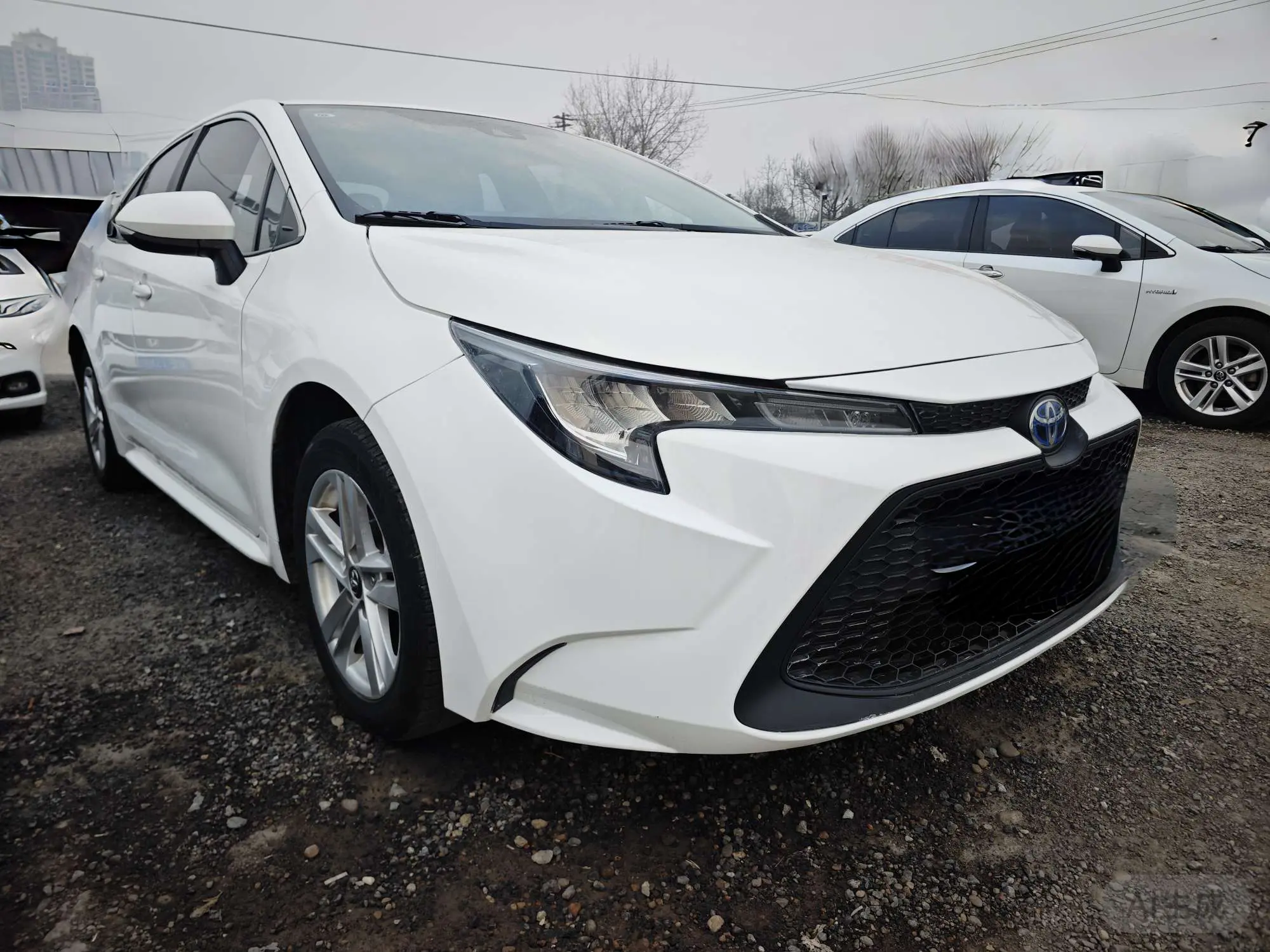 Toyota Levin (Lei Ling)  из Китая