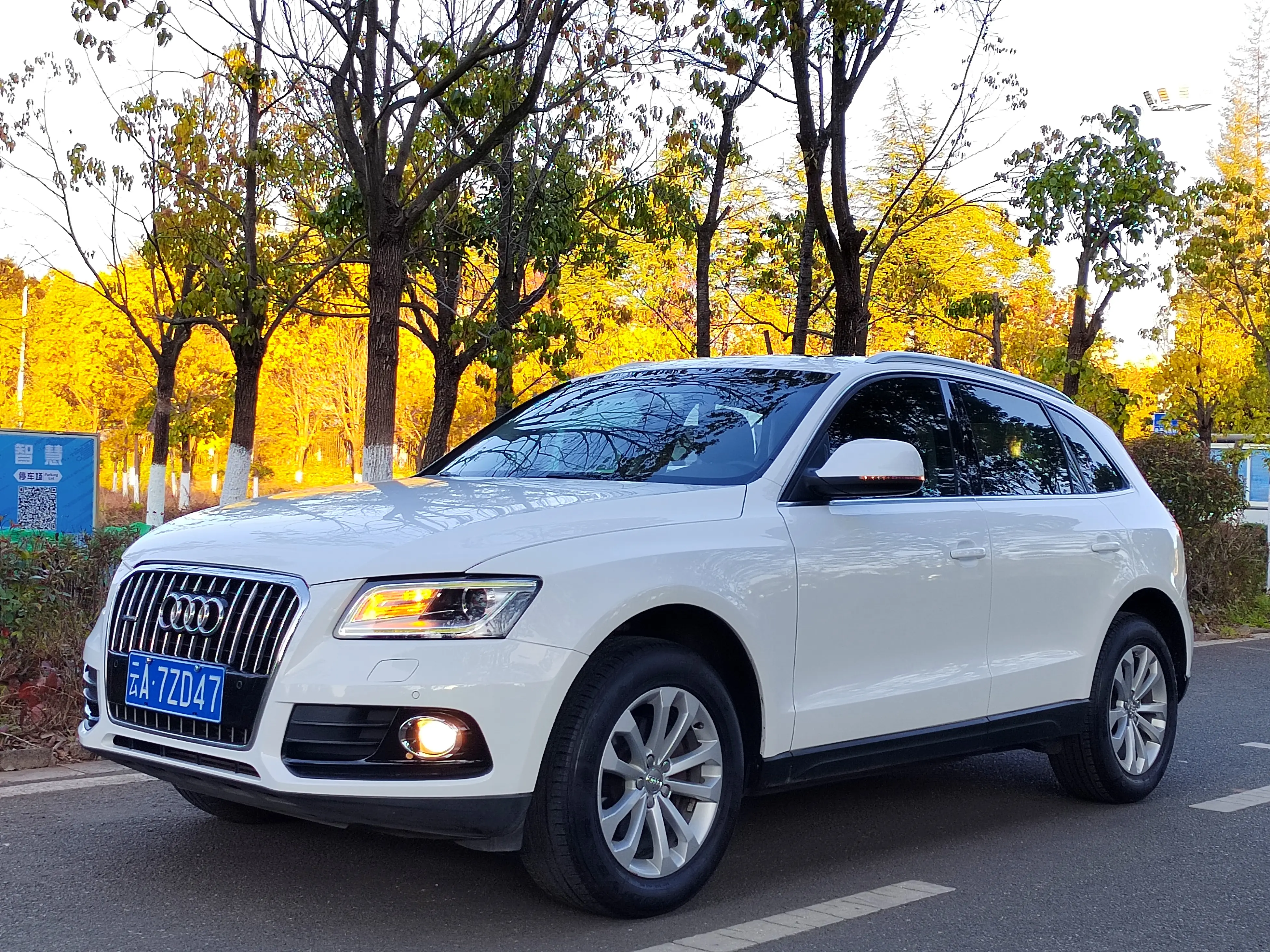 Audi Q5  из Китая