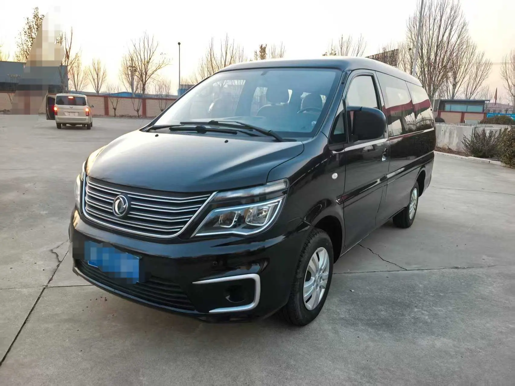 Forthing Lingzhi  из Китая