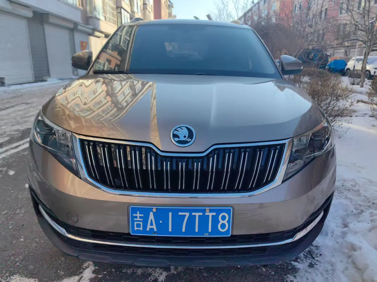 Skoda Comek  из Китая