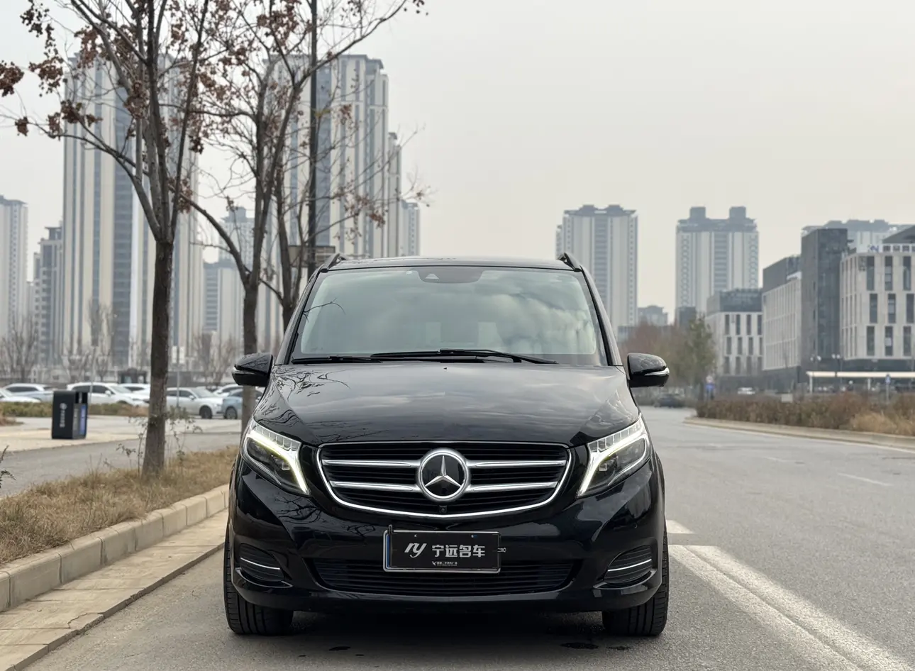 Mercedes-Benz Mercedes Benz V Class  из Китая