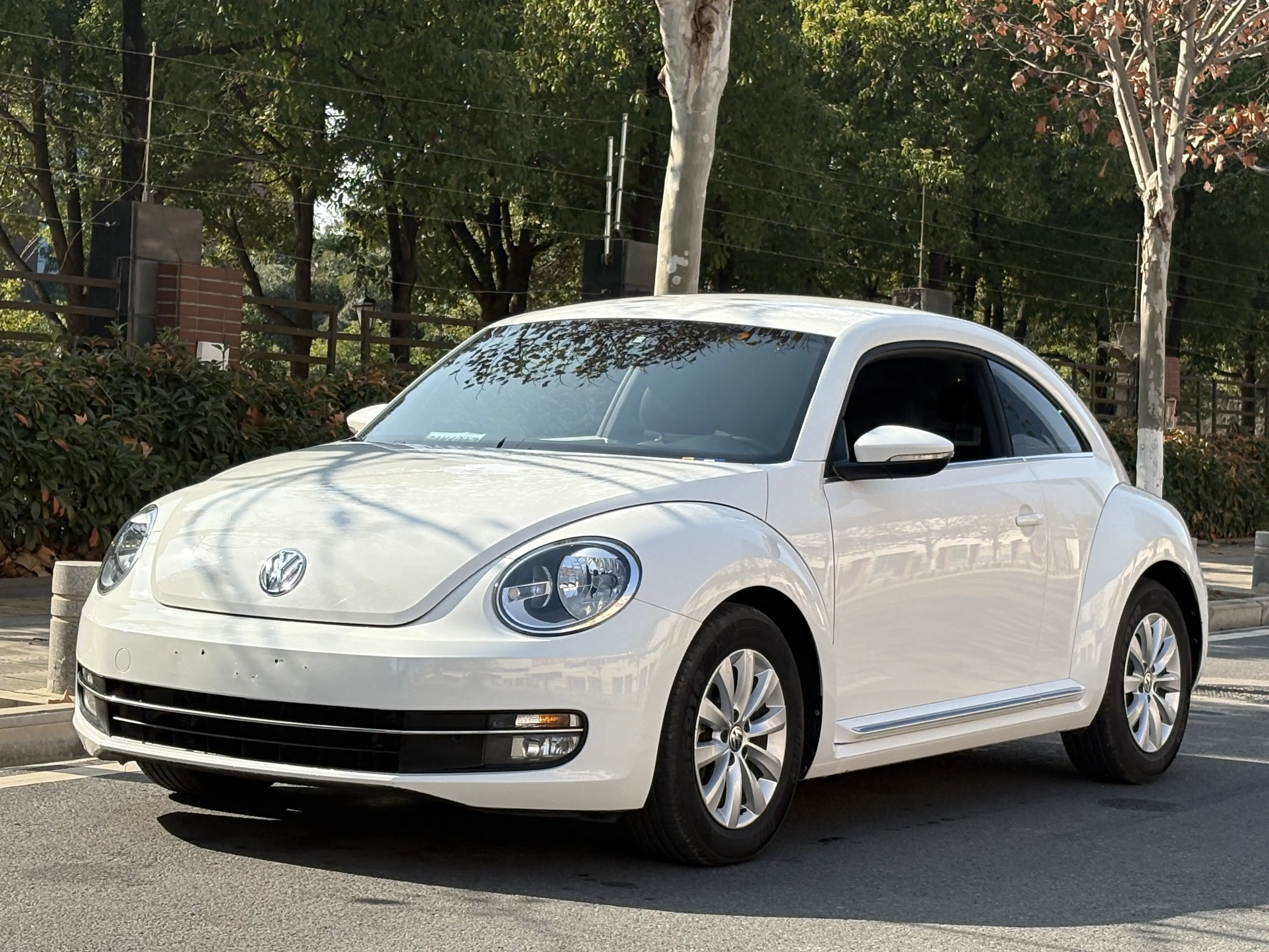 Volkswagen Beetle  из Китая